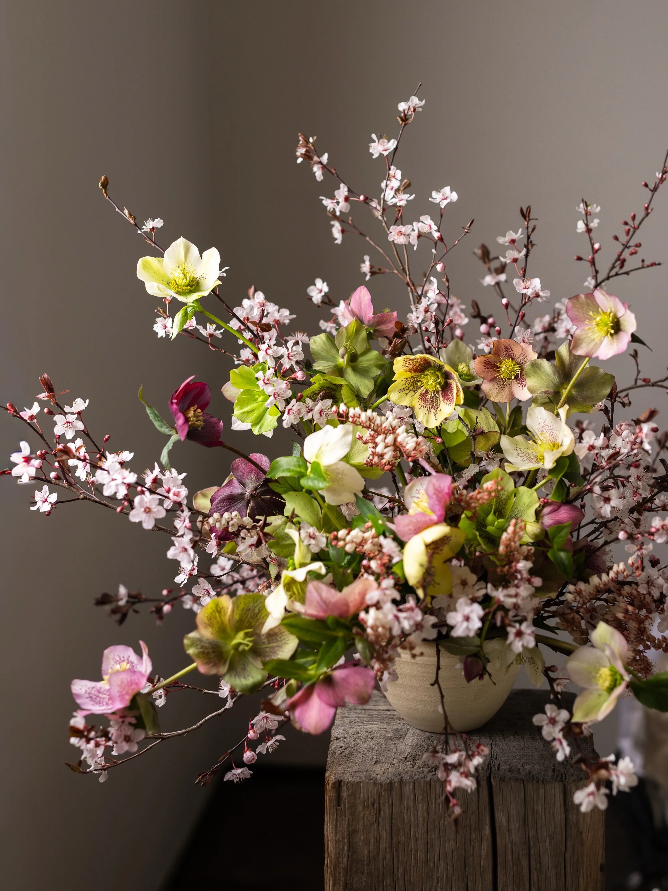 I am besotted with hellebores, and have over years gathered a collection of varieties and colours. Many are speckled and flecked, their charm for me is as much in the markings as other details. All mine are singles, however I do covet those frilly do