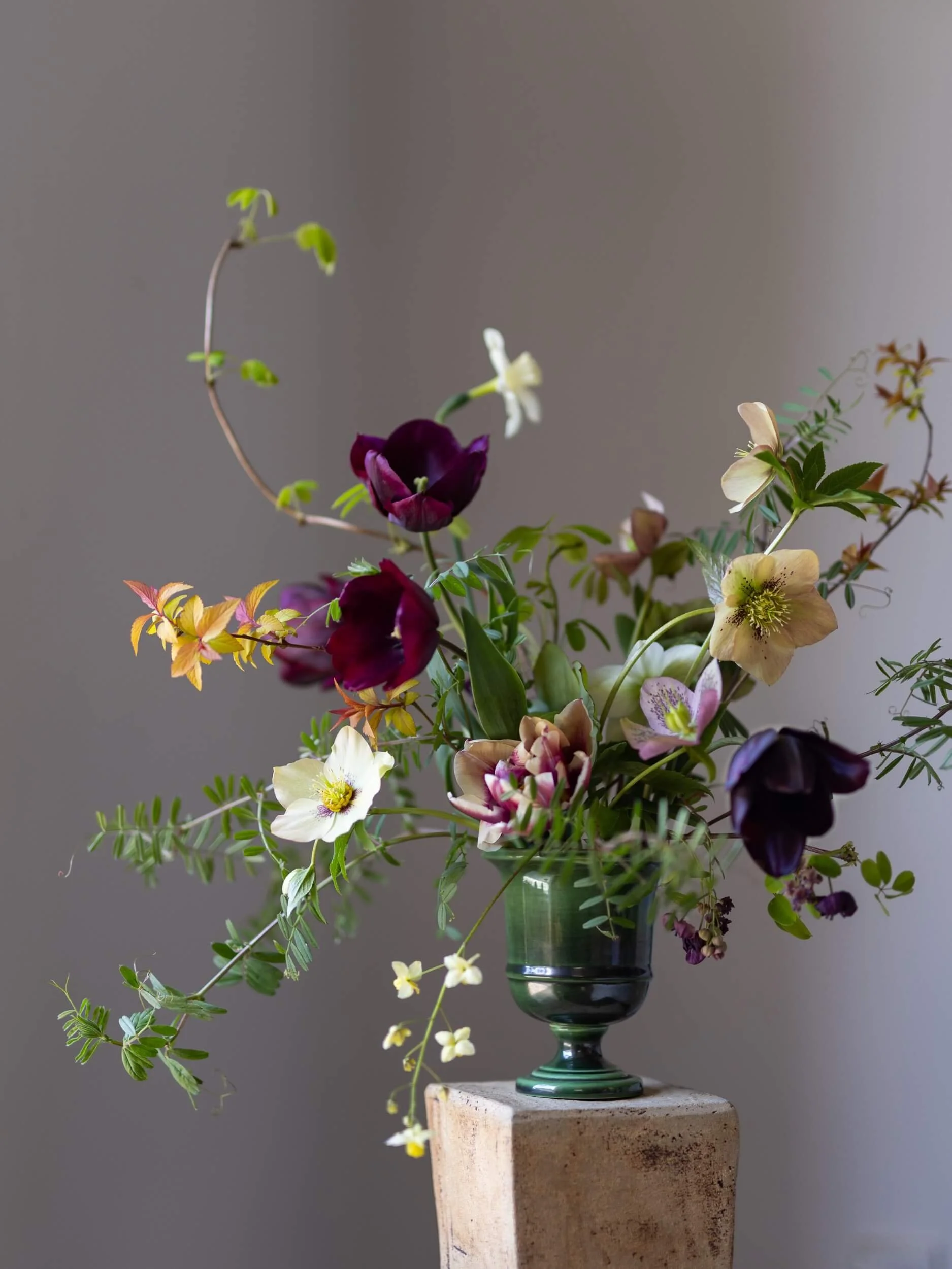 Tulips-epimedium-floristry-Christchurch-christchurch-katherine-english-flora.jpg