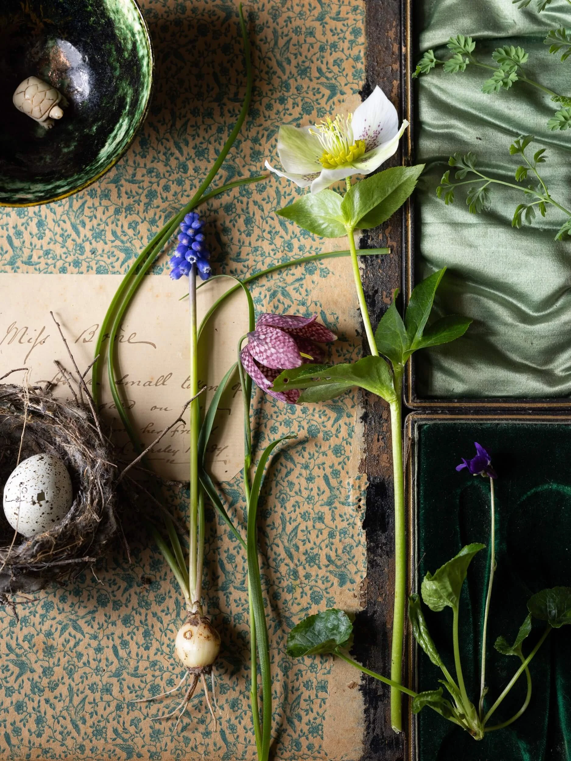 Fritillaria-flatlay-photographer-christchurch-katherine-english-flora.jpg