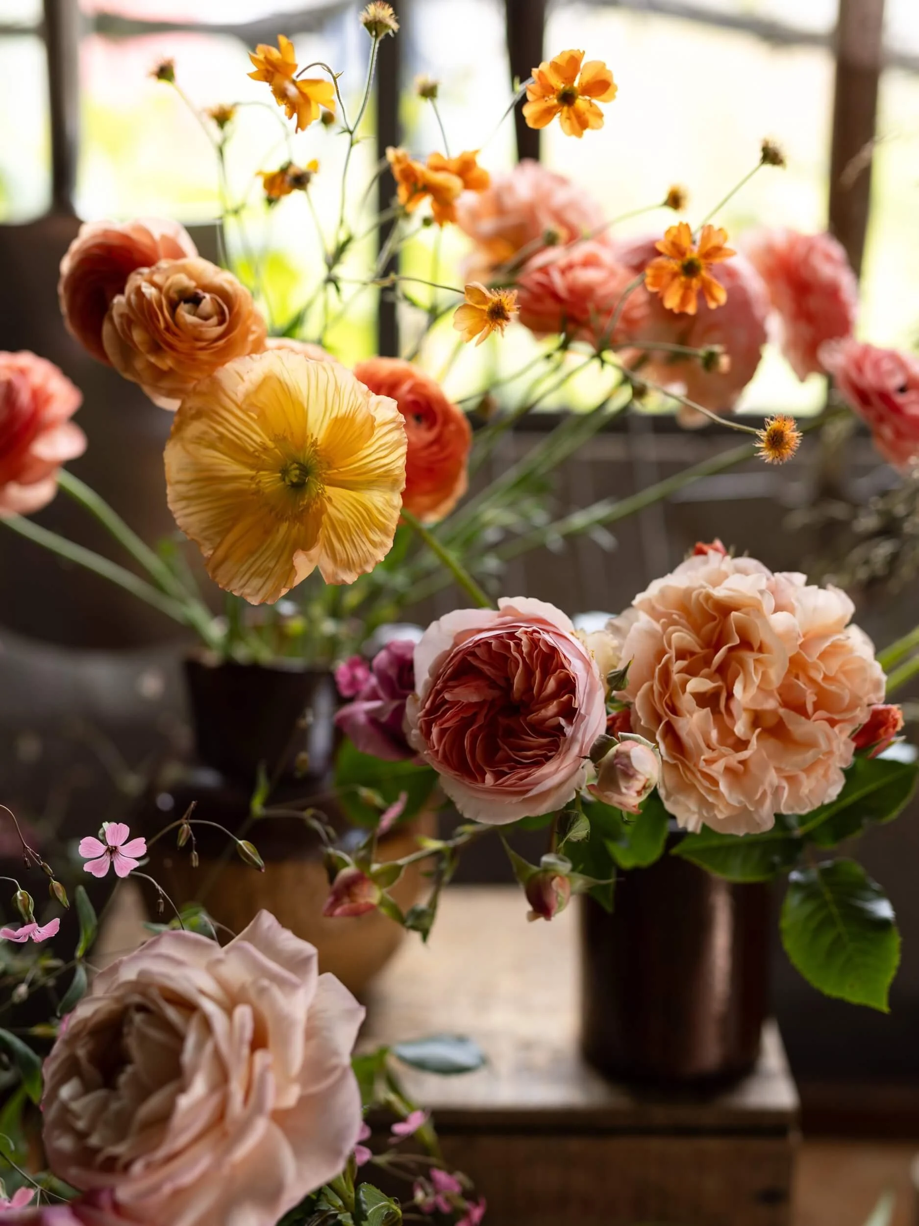 Poppies-guems-florist-studio-Christchurch-christchurch-katherine-english-flora.jpg