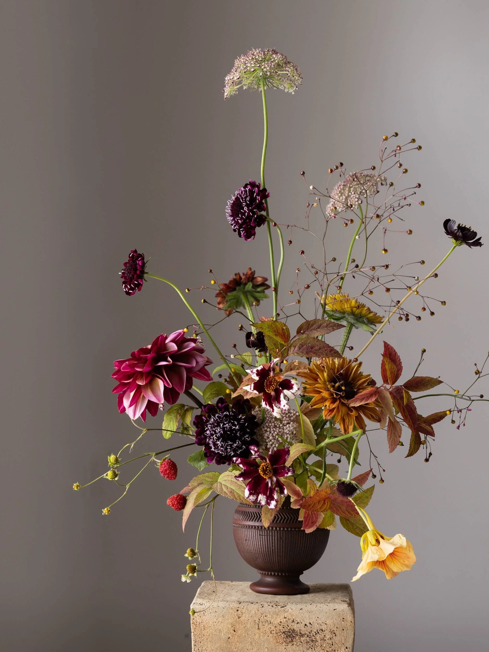 Wild-strawberries-floral-still-life-christchurch-katherine-english-flora.jpg