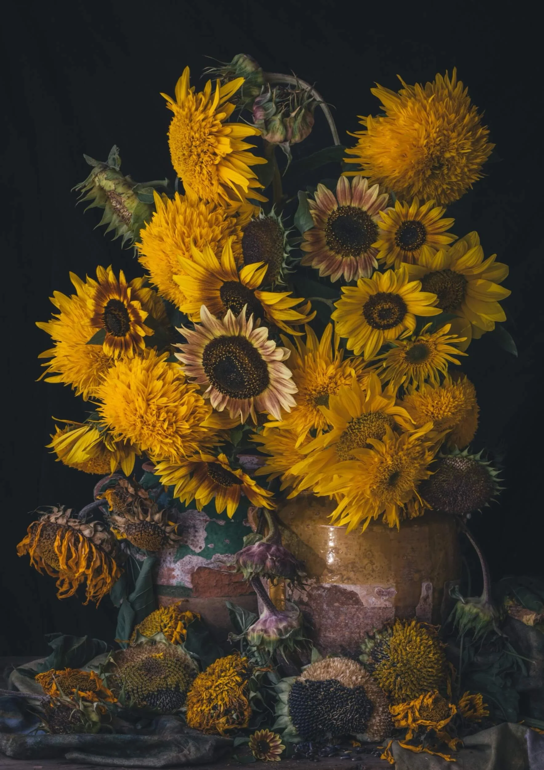 Heart-of-gold-Laura-Tait-christchurch-katherine-english-flora.jpg