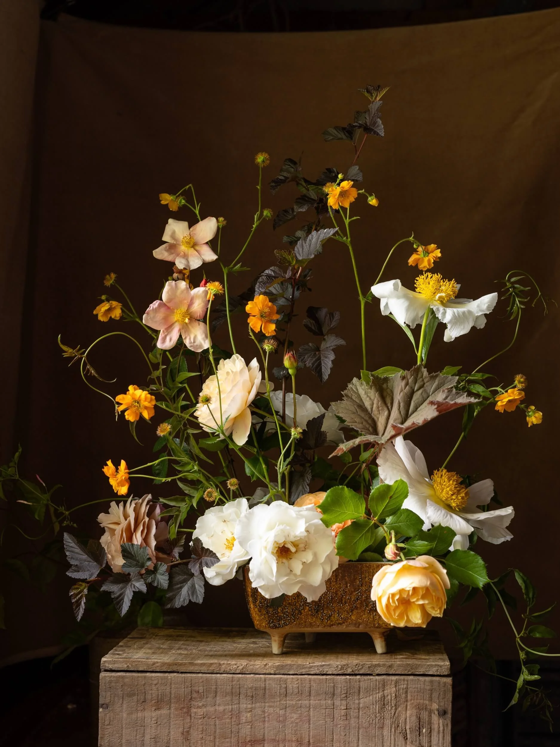 Roses-still-life-photography-nz-christchurch-katherine-english-flora.jpg