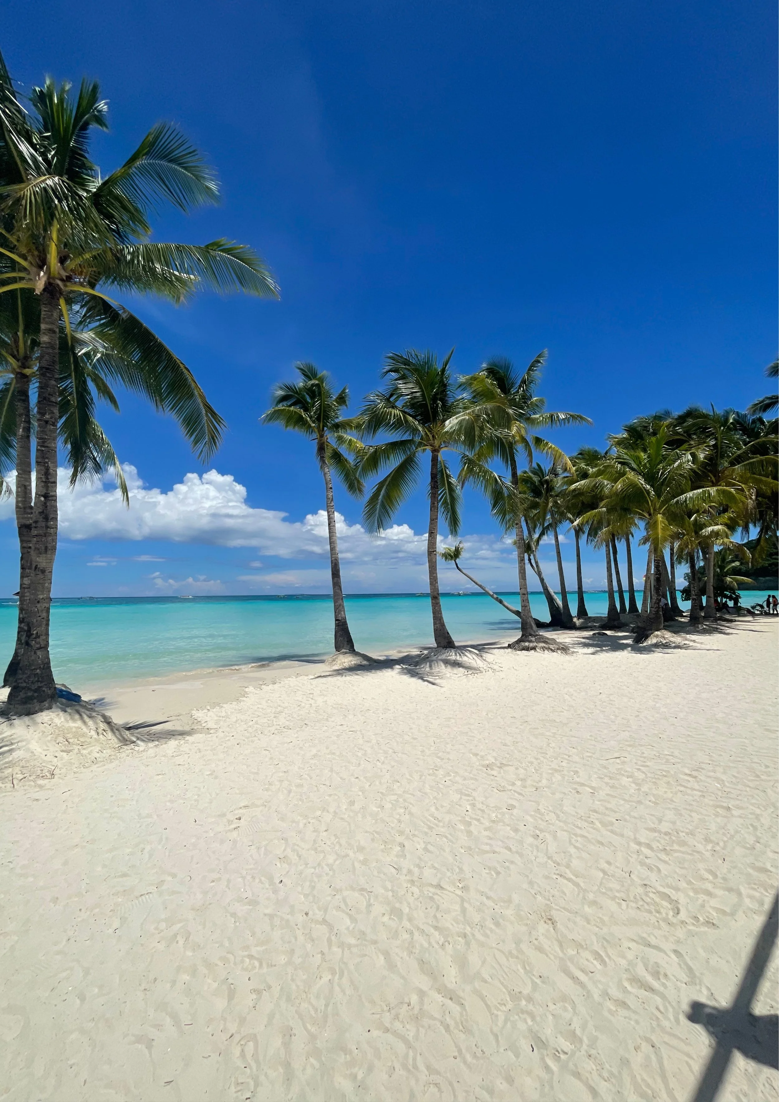 P&R Boracay (Discovery).jpg