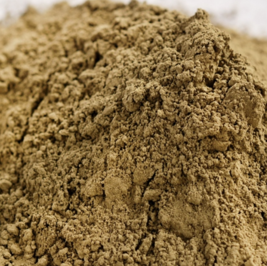 Screen Shot 2023-03-20 at 10.19.49 AM.png