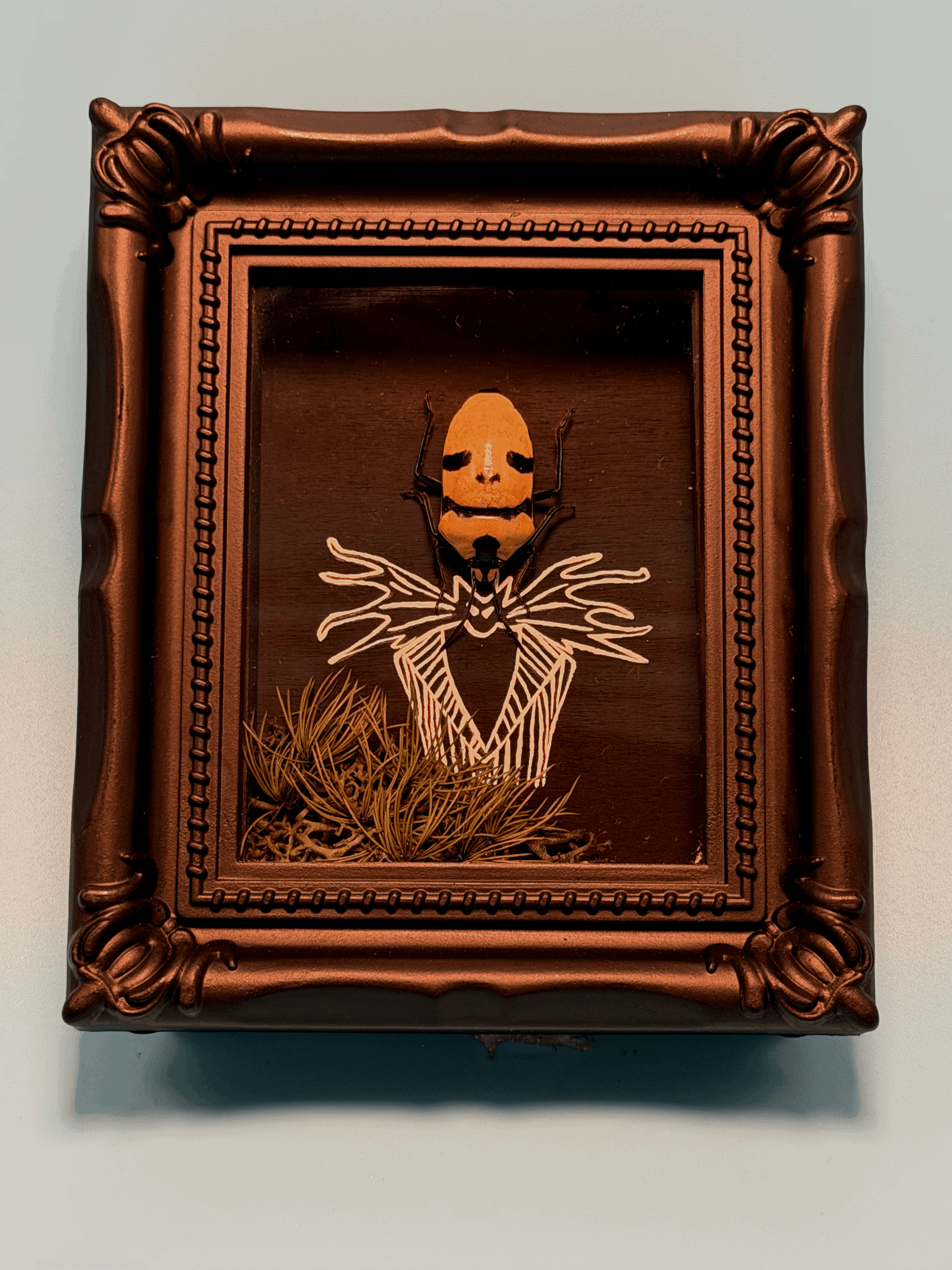 Jack the Beetle King