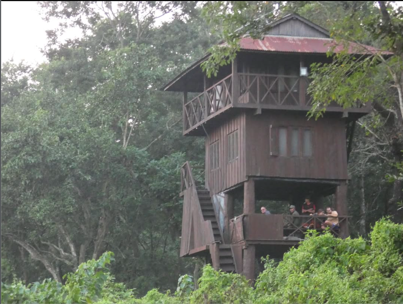 Screen Shot 2026-03-02 at 12.03.33 pm.png