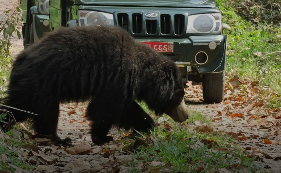 Screen Shot 2026-03-03 at 2.51.56 pm.png