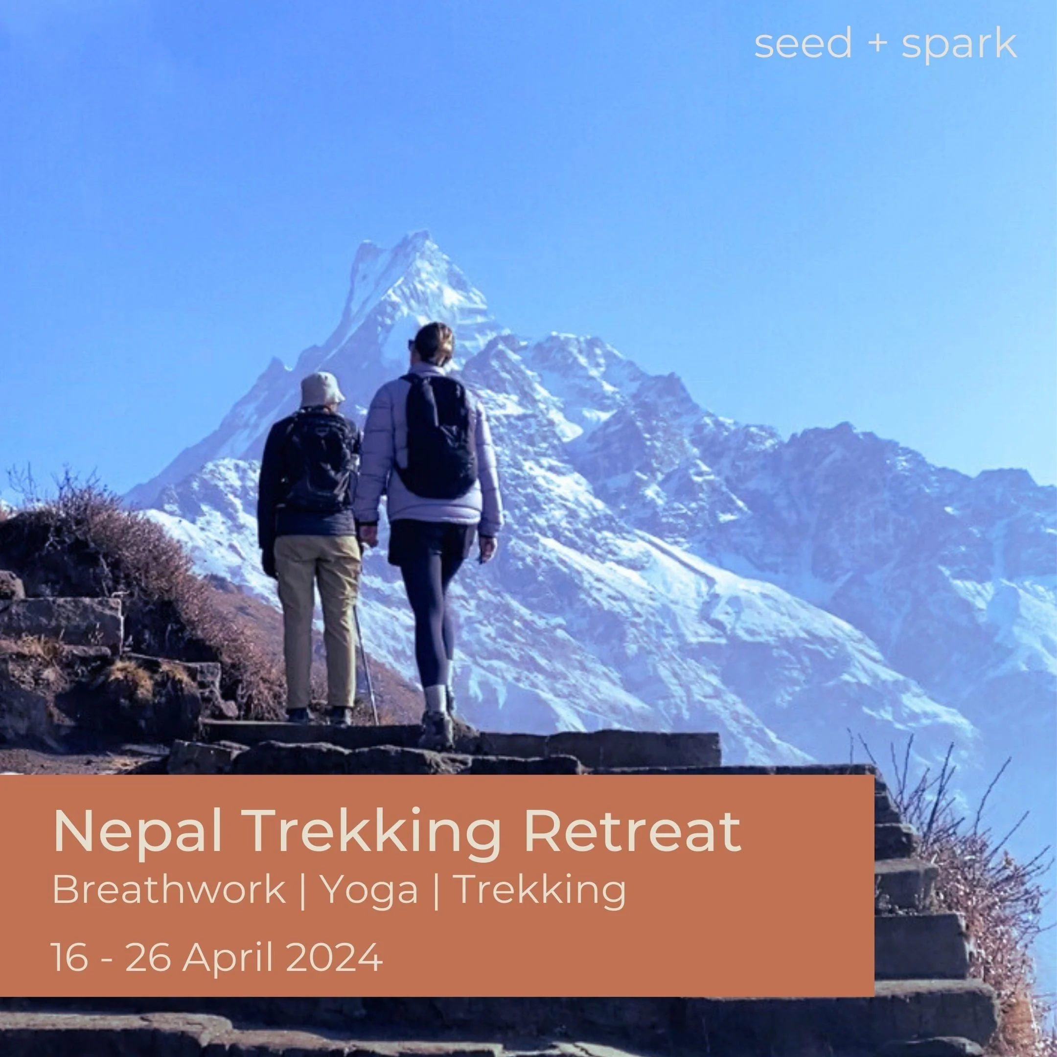 View of Retreats — seed + spark