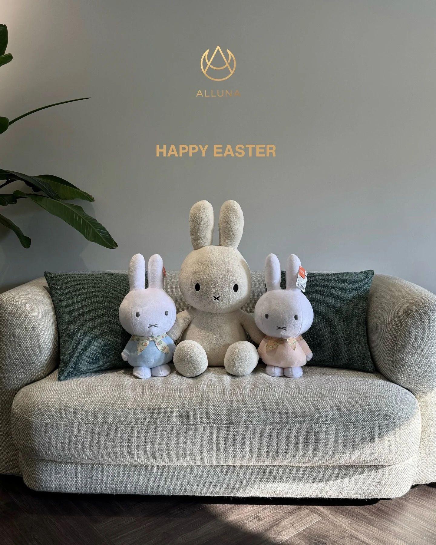 Hoppy Easter from our quietly luxurious corner of Causeway Bay. 🐇✨

At Alluna, we&rsquo;re welcoming the Easter season with a little extra softness, calm and understated joy in our clinic lounge &mdash; a reminder to pause, breathe, and cherish the 