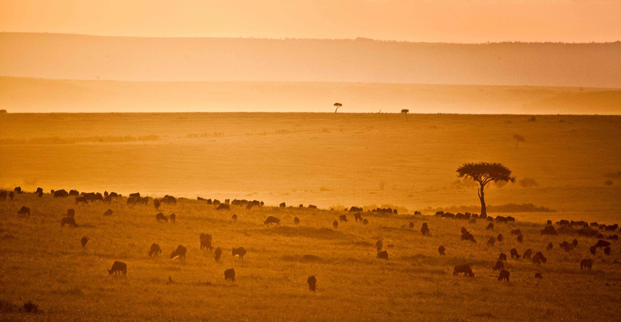 SALAS CAMP - Maasai Mara horizon.jpg