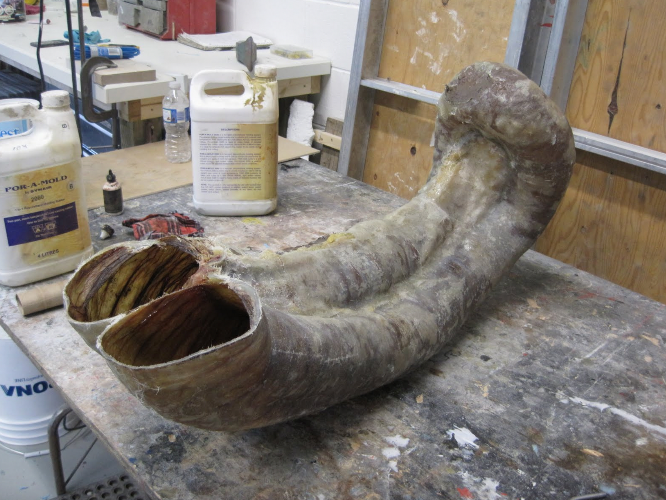 Portion of equine large intestine that will be reproduced to create an equine colic simulator for The University of Calgary Faculty of Veterinary Medicine.