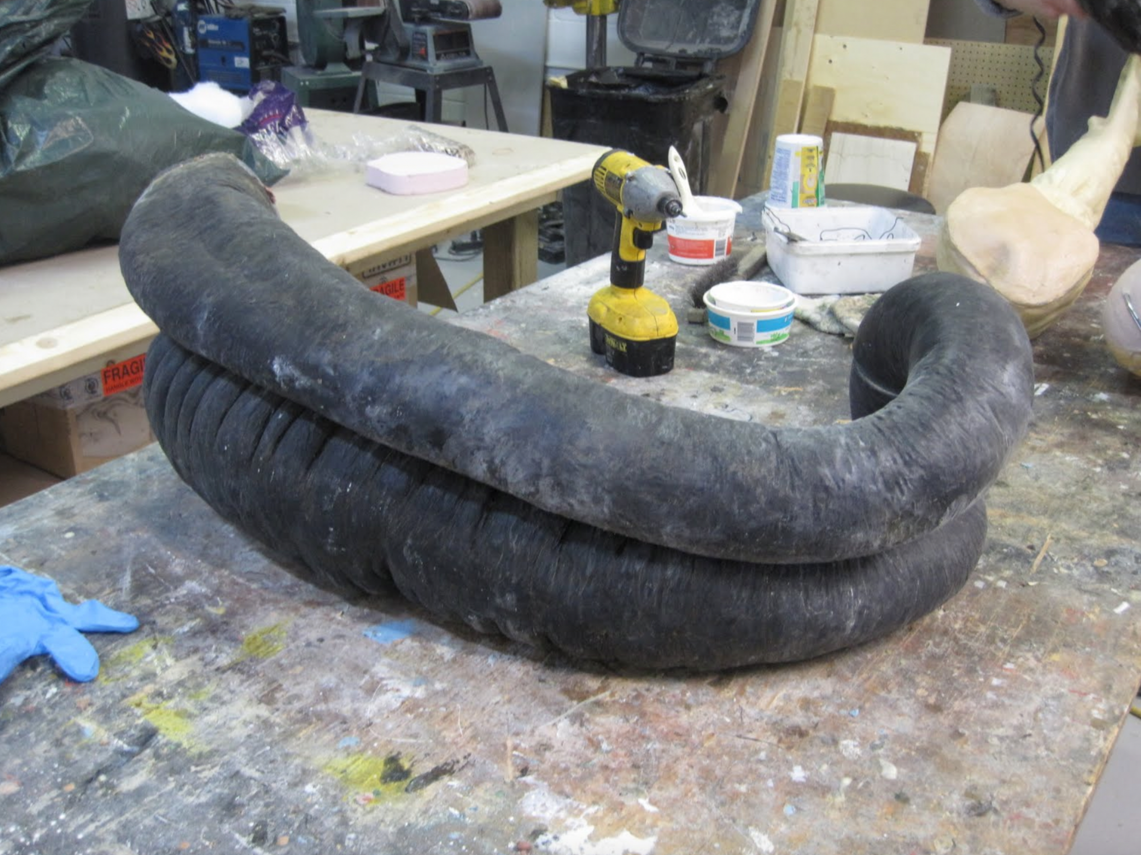  This photo shows the core of a portion the equine large intestine. It will be used to make a reproduction of the colon to simulate equine colic. the entire equine colon will be reproduced including the secum and a portion of the small intestine. 