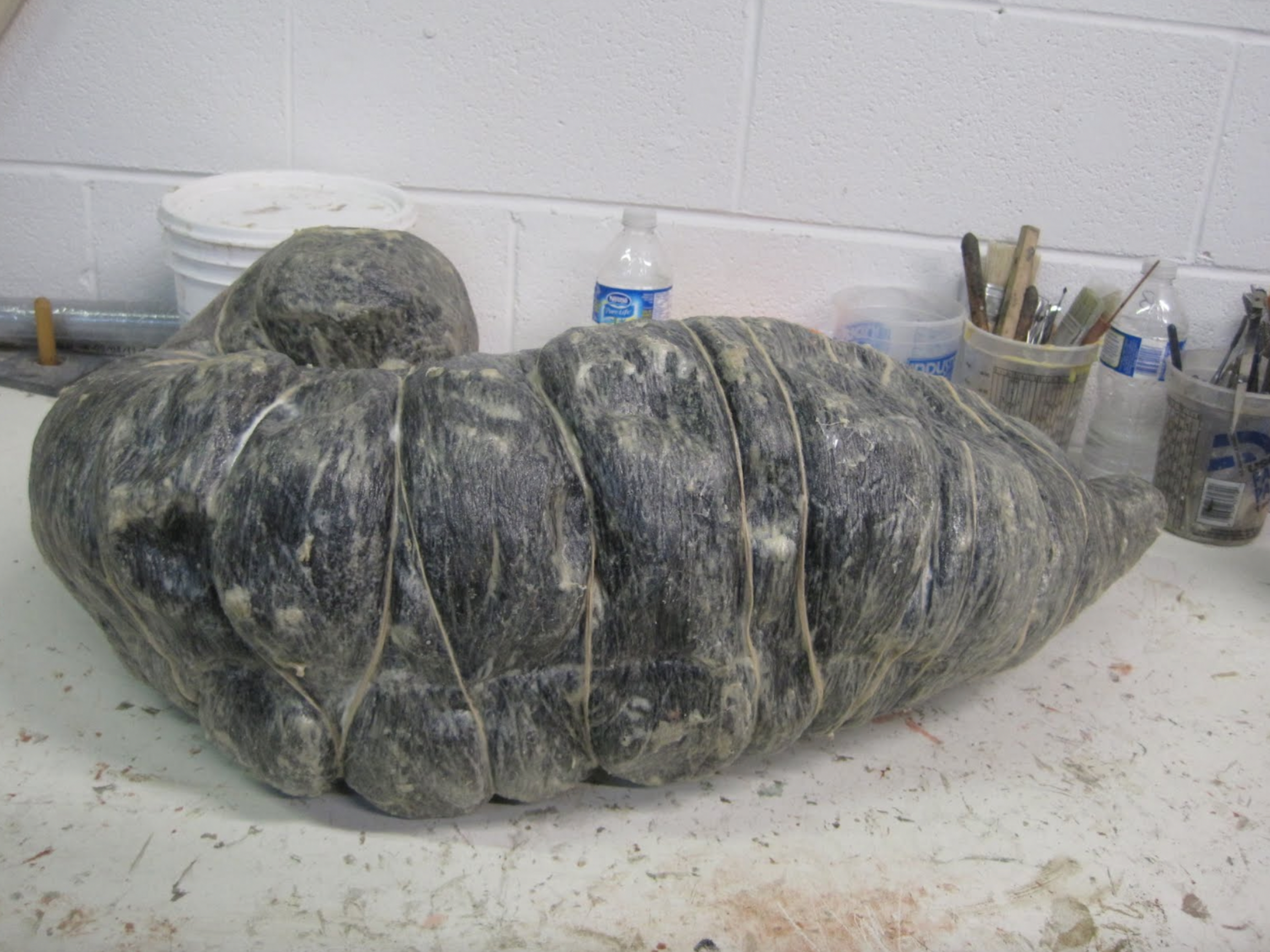In this image we have the equine secum core that has been coated in preparation for materials testing.
