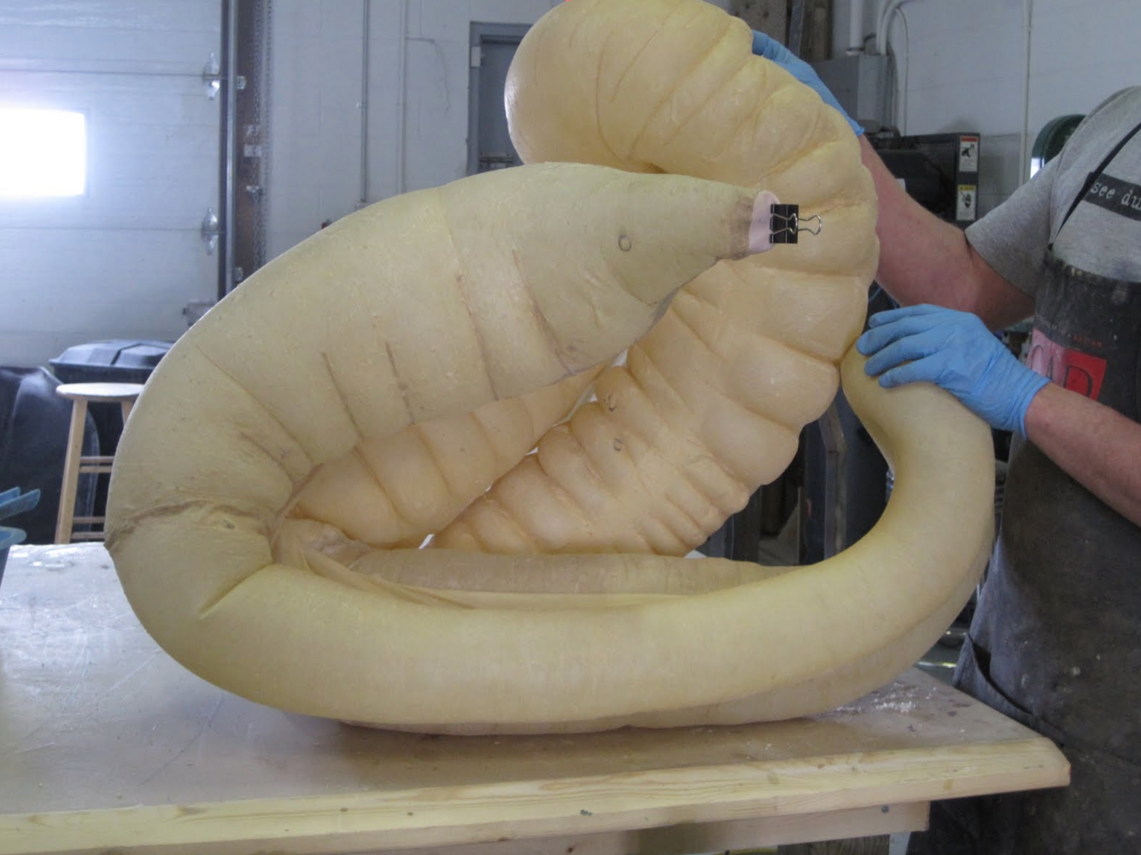  The nearly complete equine colon model. A portion of the small intestine and small colon will be added as well. The finished units will have chambers that can be inflated separately to simulate various equine colic issues. These units will mount int
