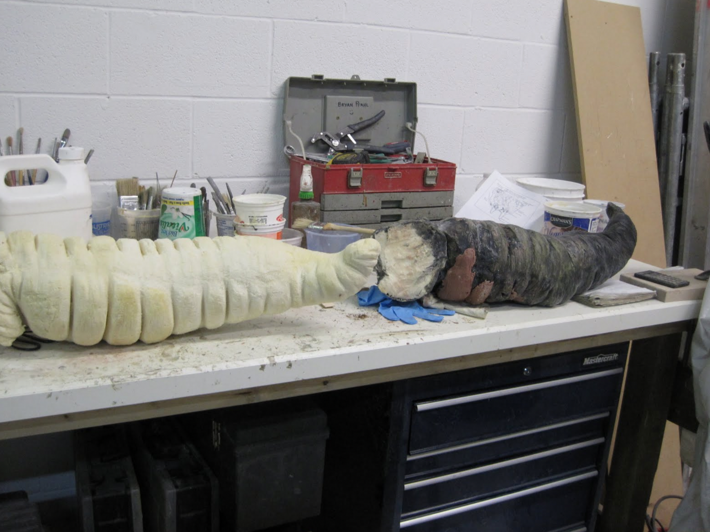 More pieces of the equine colon that will be slightly re-shaped for functionality.