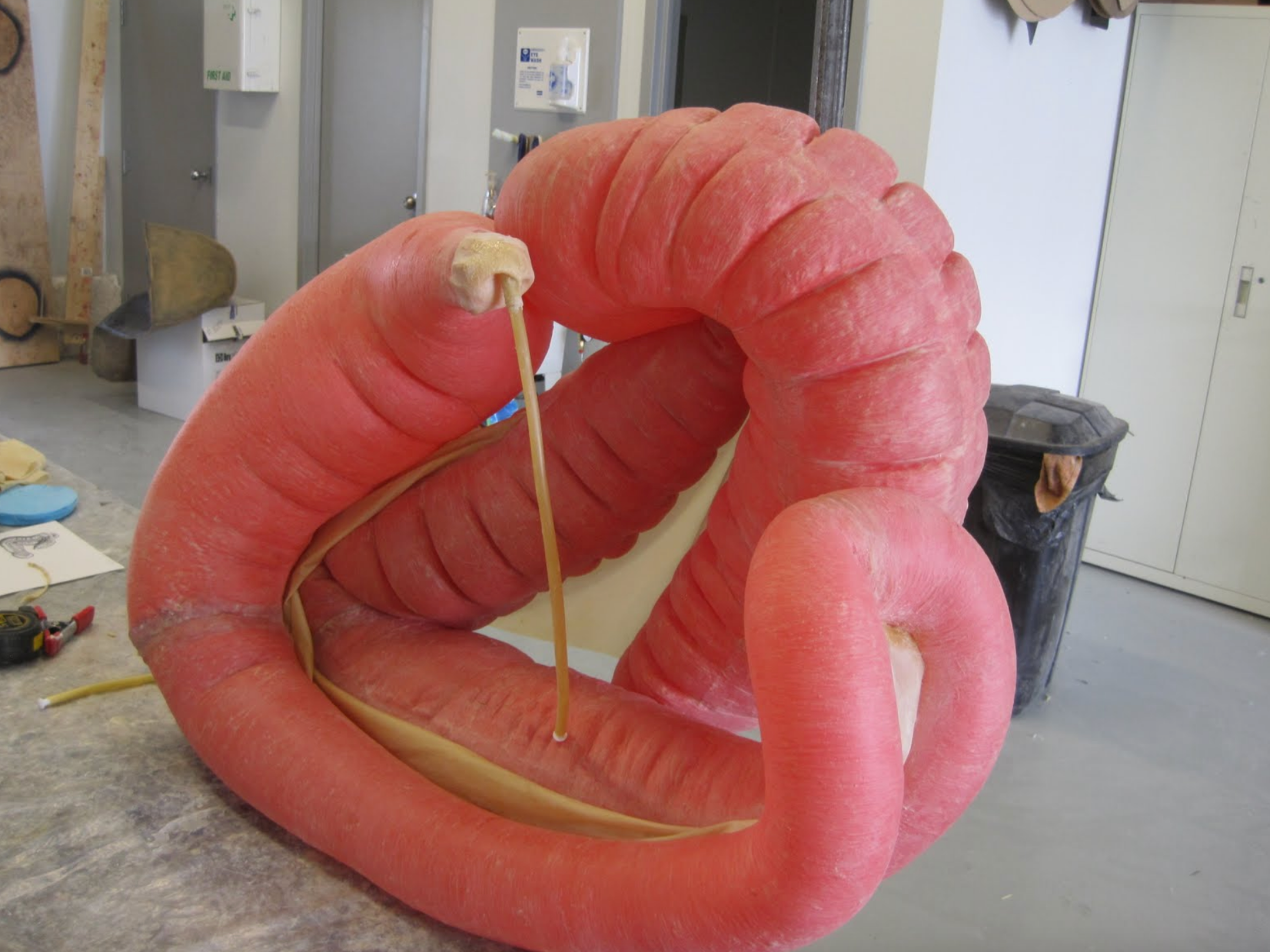  This photo shows the inflated equine GI tract model, ready for final paint and detailing. The finished piece will then be mounted into the horse model along with representations of the spleen and kidney. 
