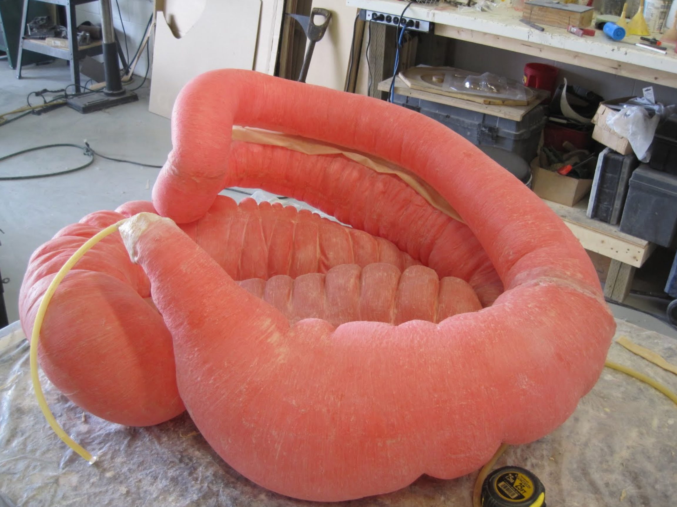 Another view of the nearly complete equine colon.