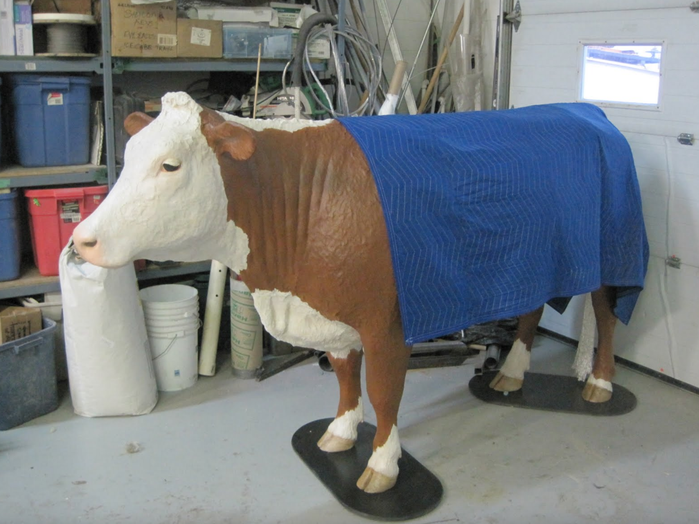  This completed Hereford model traveled to the University of Saskatchewan Western College of Veterinary Medicine for a demonstration of the simulator for members of the faculty. We also demonstrated an equine colic simulator prototype and gathered fe