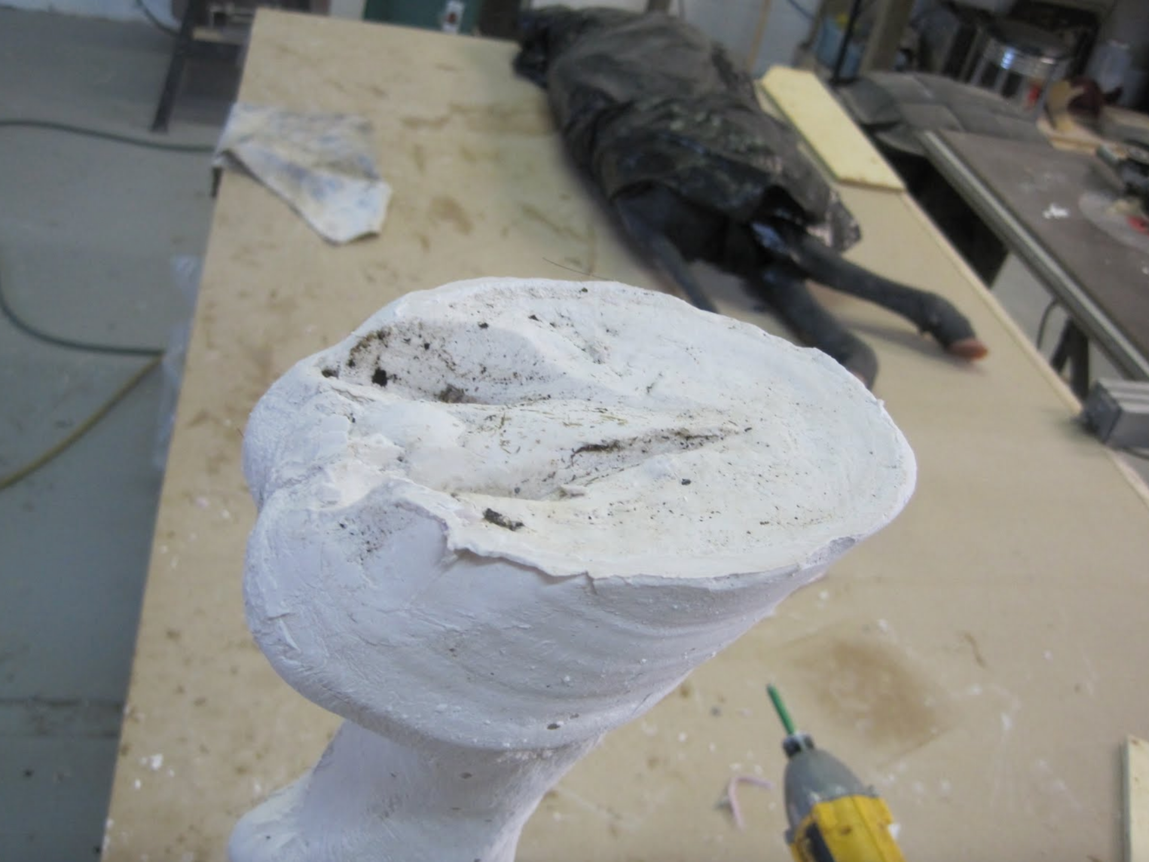 The plaster cast has captured all the detail of the hoof, but still requires a small amount of clean-up. 