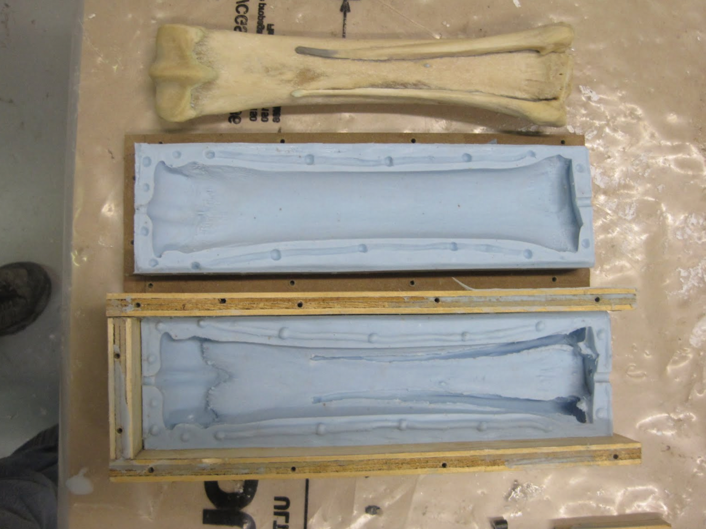 Here we can see the completed two halves of the mold and the original bone.