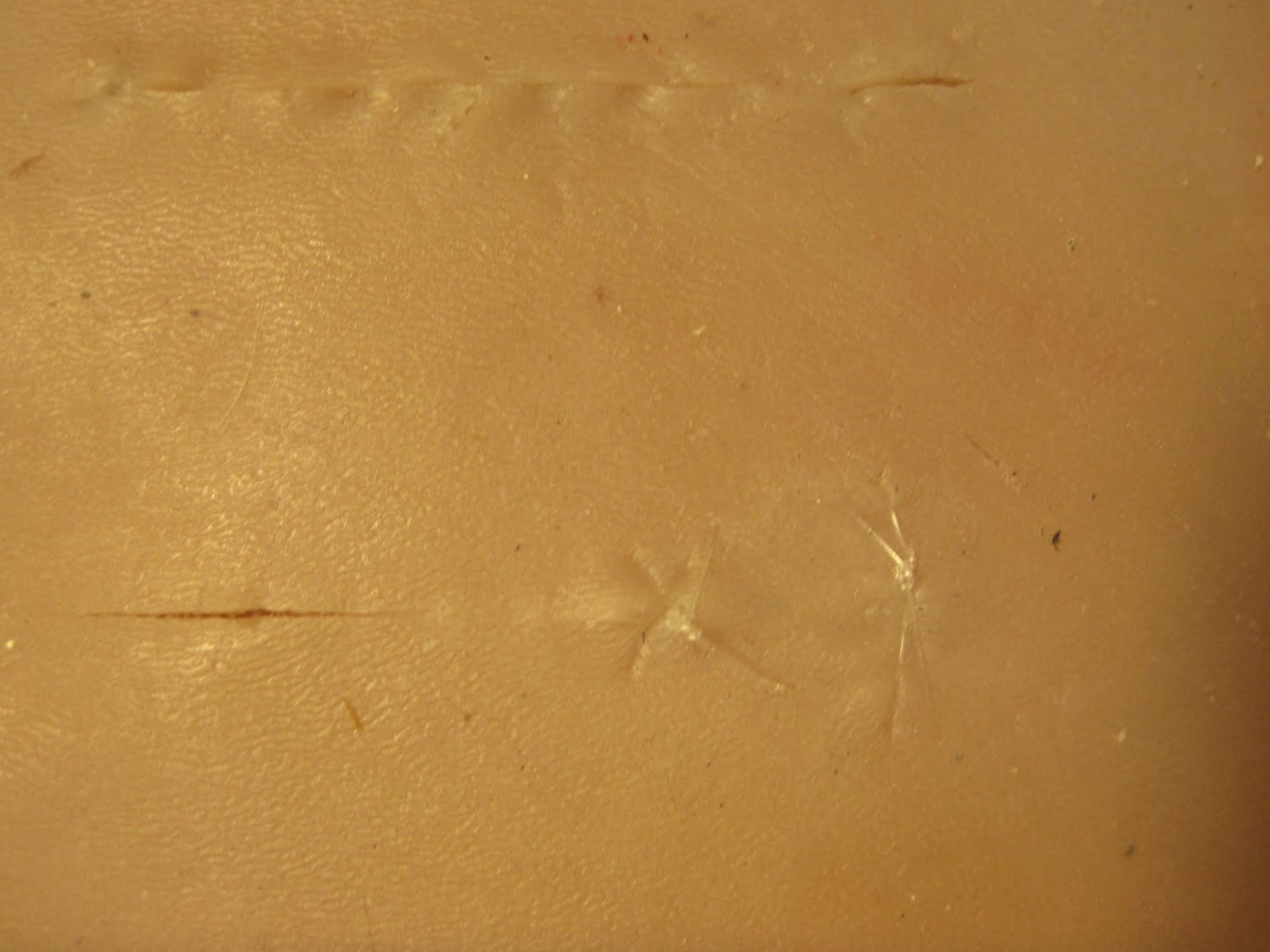  Not a very good picture of our suture pad(latest prototype). It performed very well when tested by  Dr. Emma Read  at then University of Calgary Faculty of Veterinary medicine. They will be tested further during OSCE’s (Objective Structured Clinical