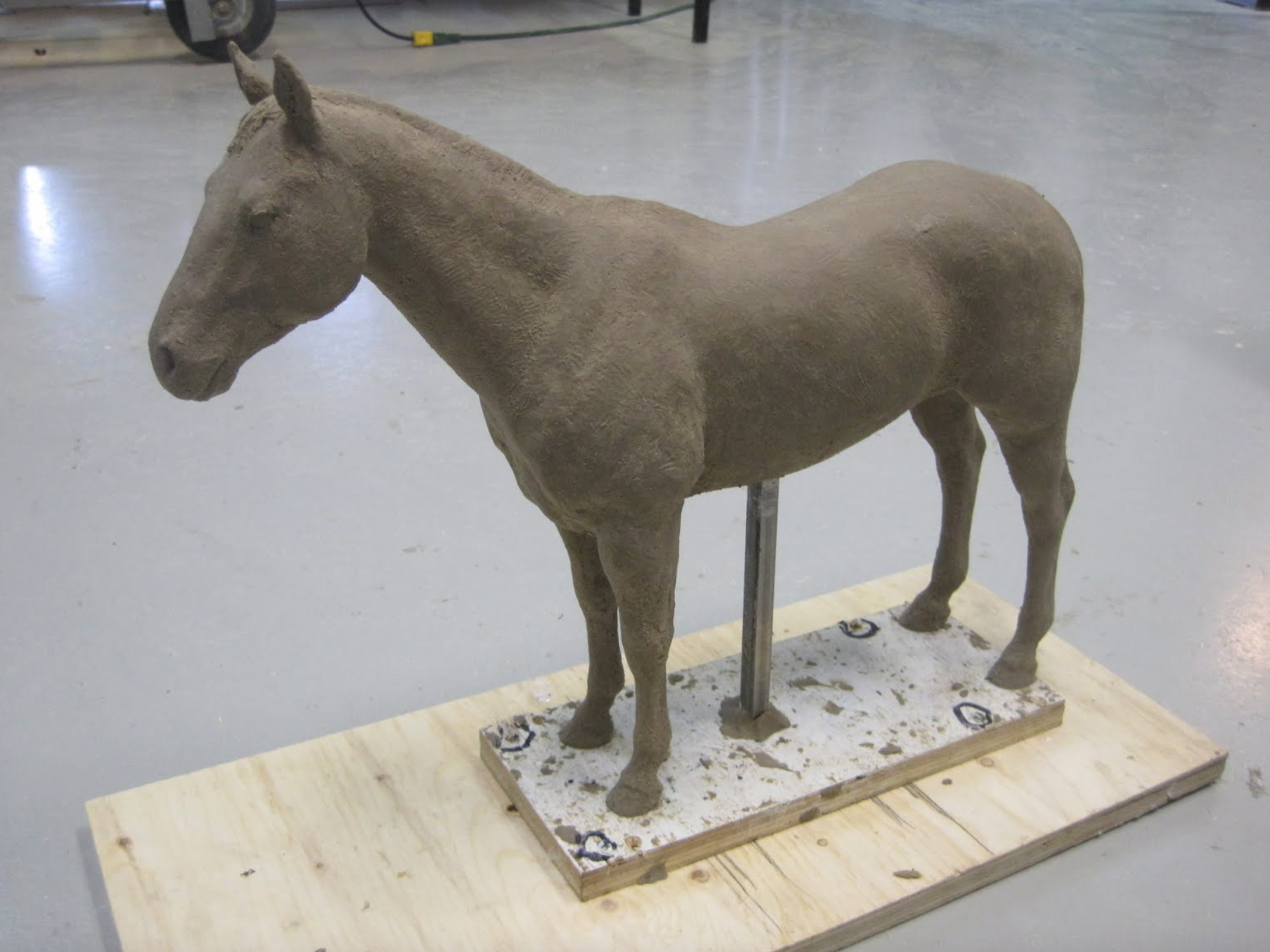  This photo shows the 1/5 scale sculpture of our new equine model. It will be the base for our colic/palpation/belly tap simulator as well as equine venipuncture simulator. It will be reproduced in full scale, then molded and reproduced. The model wa