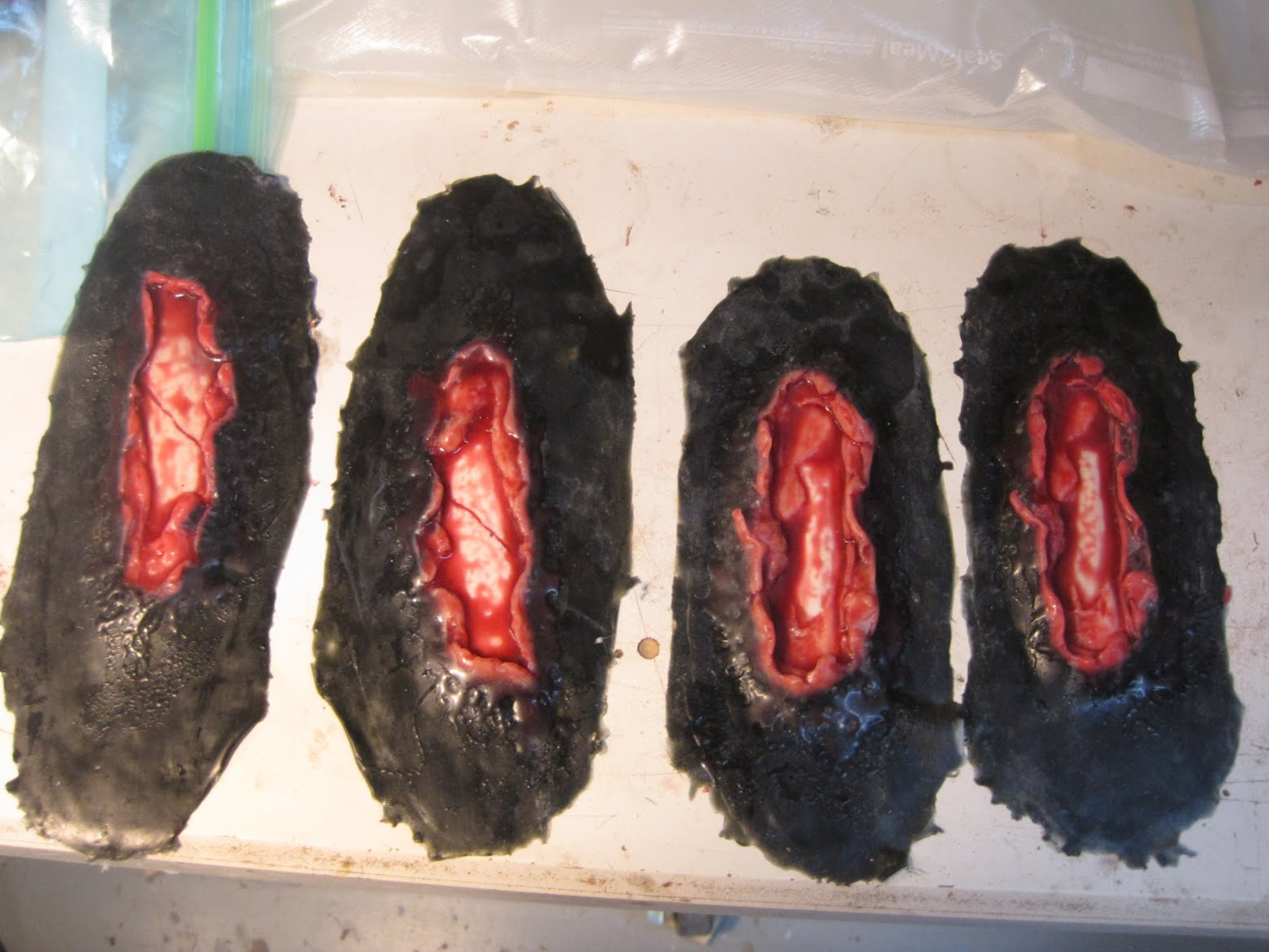  We have created simulated equine leg wounds for accident triage training. these wounds can be applied to the leg and re-used multiple times. UCVM does simulated horse trailer accidents for students and veterinarians. 