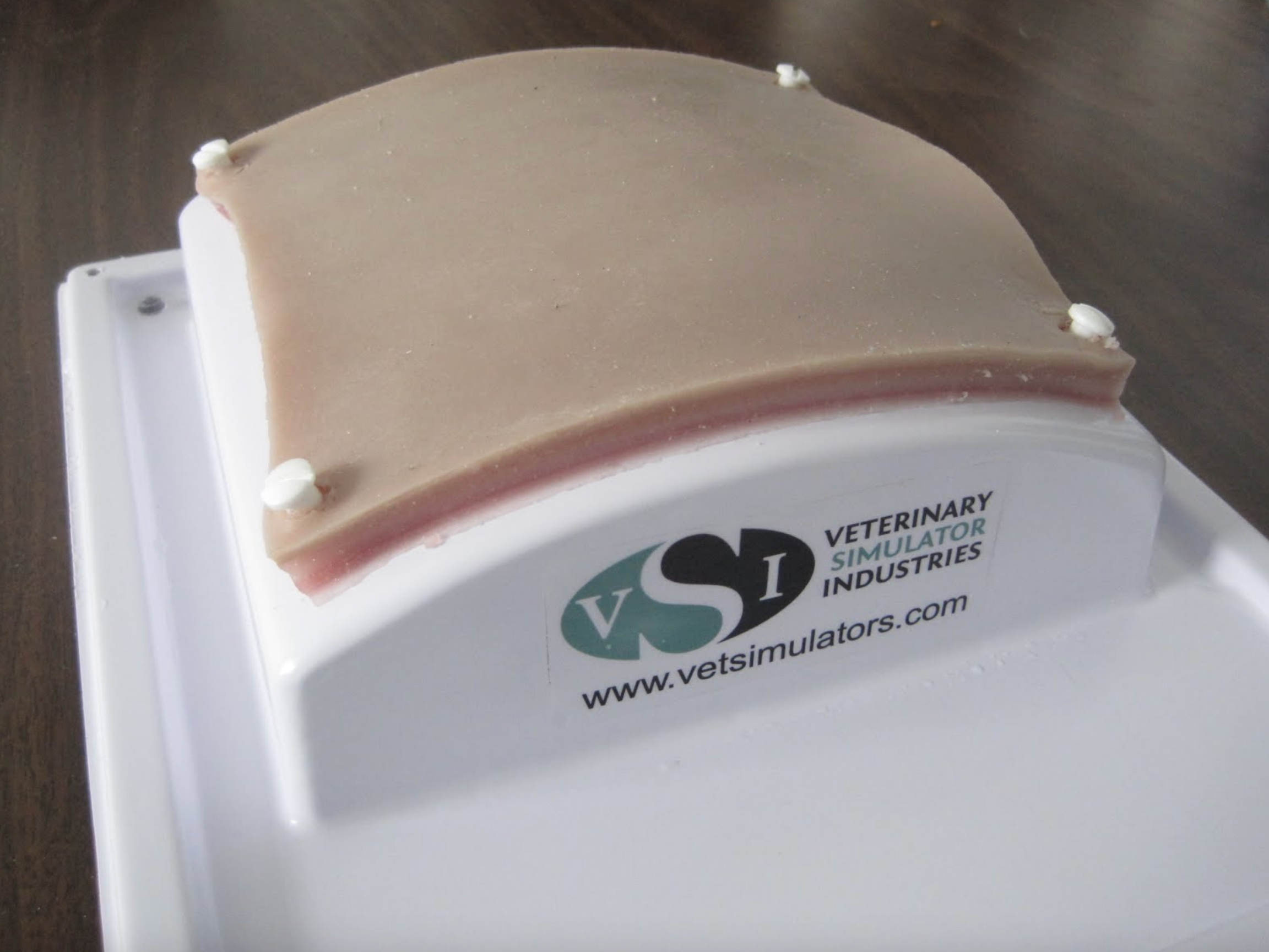  One of the recent suture pad prototypes, with its base. the base has suction cups for stability and can accept both the 4 layer suture training pads and the hollow organ pad. 
