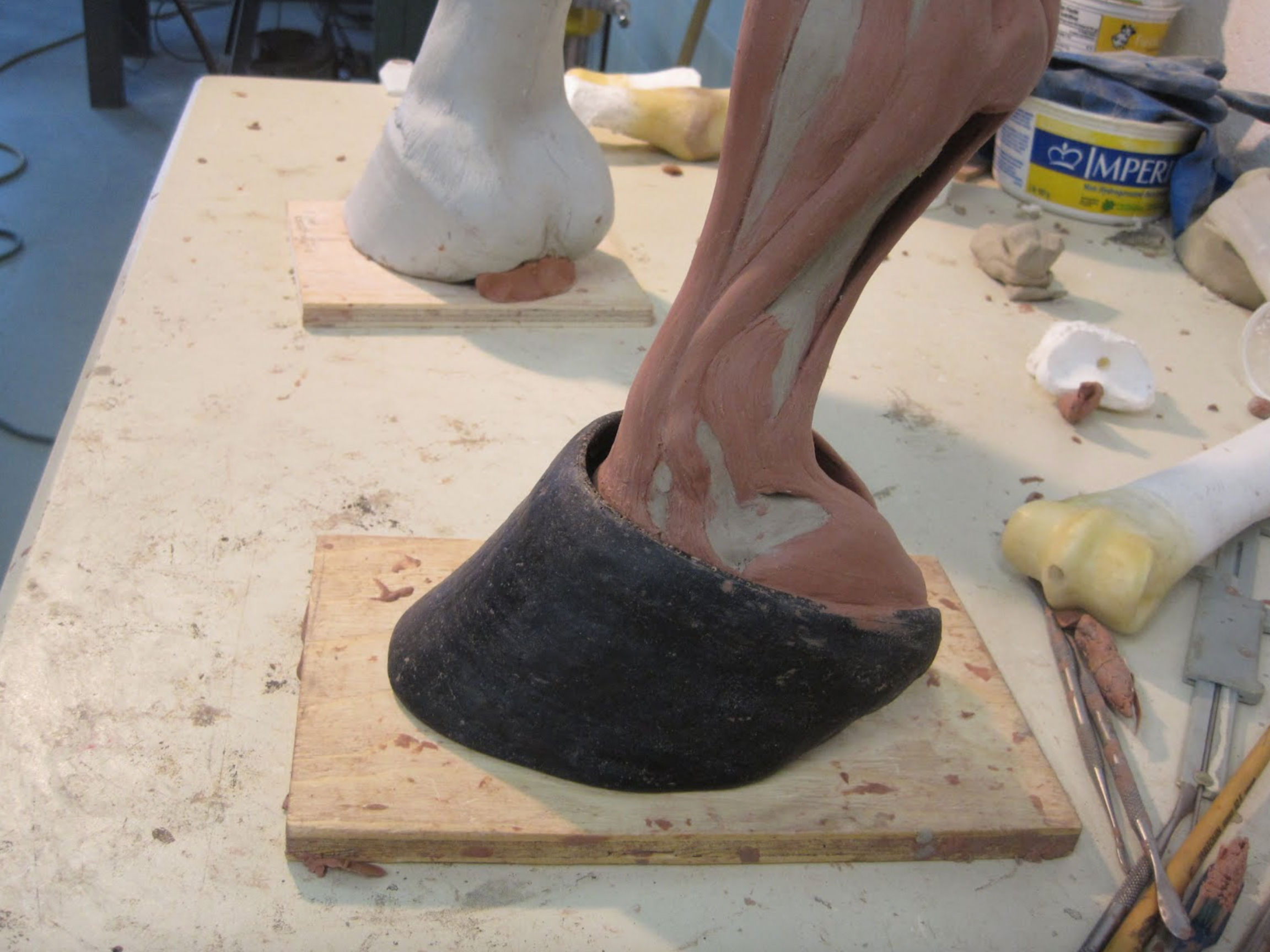  The sculpture of the tendons and ligaments is near completion. throughout the entire sculpting process we have been consulting with Dr. Emma Read and using many anatomical text books in order to ensure a high degree of accuracy. 