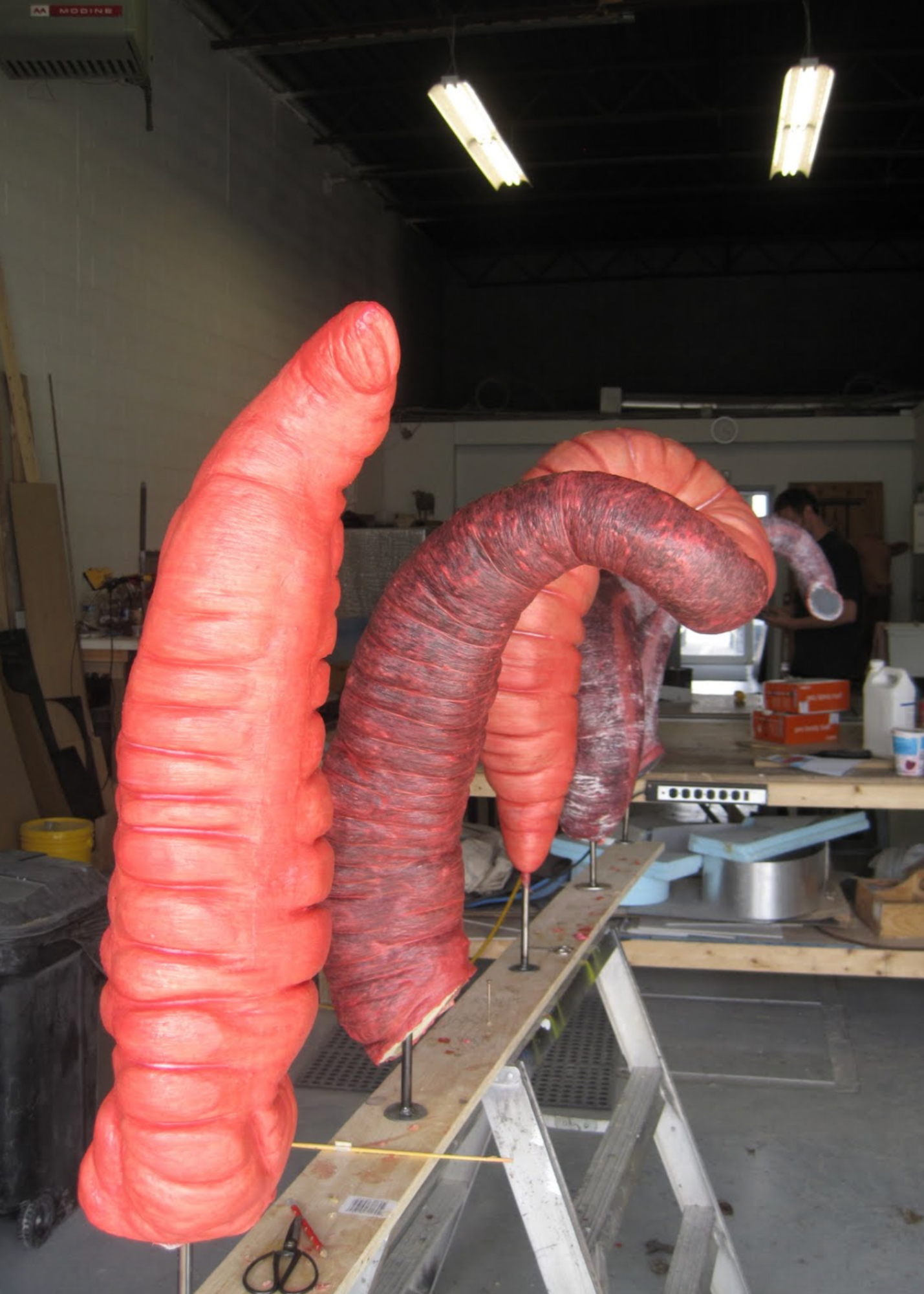  Work now continues on the equine colic simulator. Here the various sections of the equine large intestine are being prepared for assembly. Once assembled they will be fitted into the fiberglass equine model along with representations of the kidney’s
