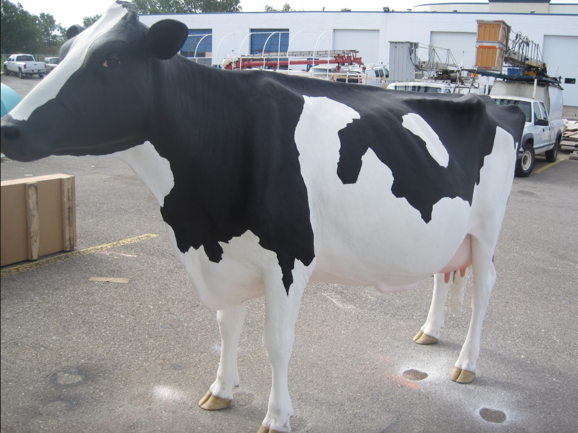  This Holstein model is completed and awaiting pick-up. Alberta Milk will be using it at their display at the Calgary Stampede to demonstrate production milking equipment. To facilitate this the model has soft realistic teats, that are easily replace