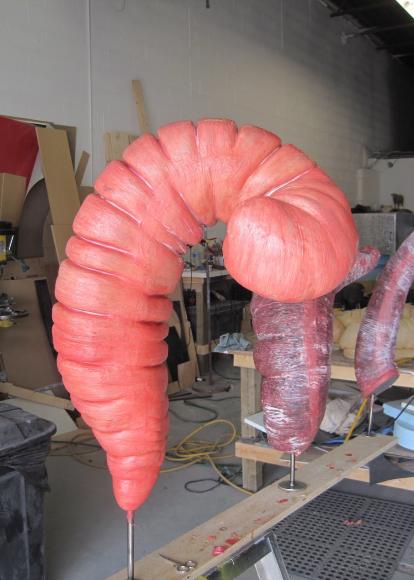 Model of the cecum for the equine colic simulator.