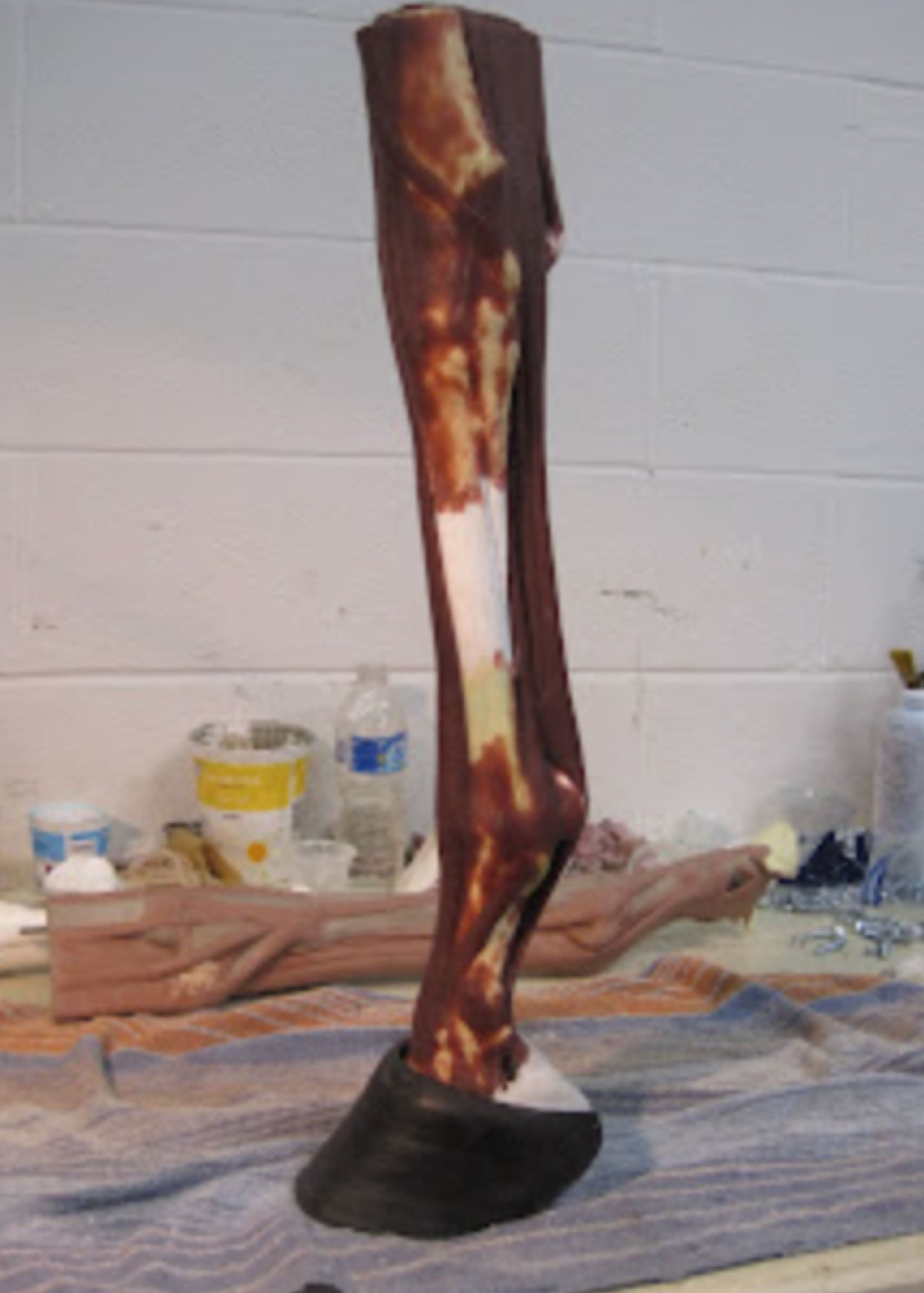  Photo of completed tendon/ligament structure. Prototype unit is now ready to receive the skin. Several different materials wil be tested in order to get the optimal results. 