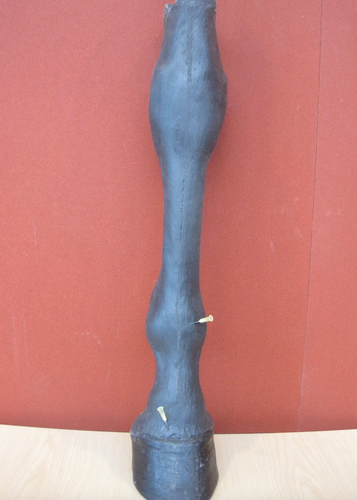  &nbsp;Front view of the leg. &nbsp;All the joints can be flexed to facilitate injection where necessary. 