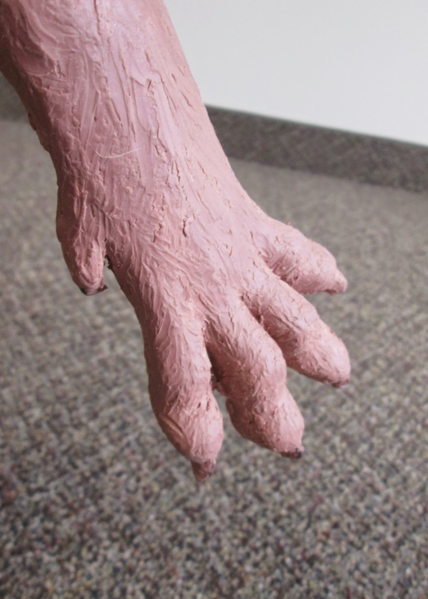 This image shows the splayed toes to allow bandaging training.