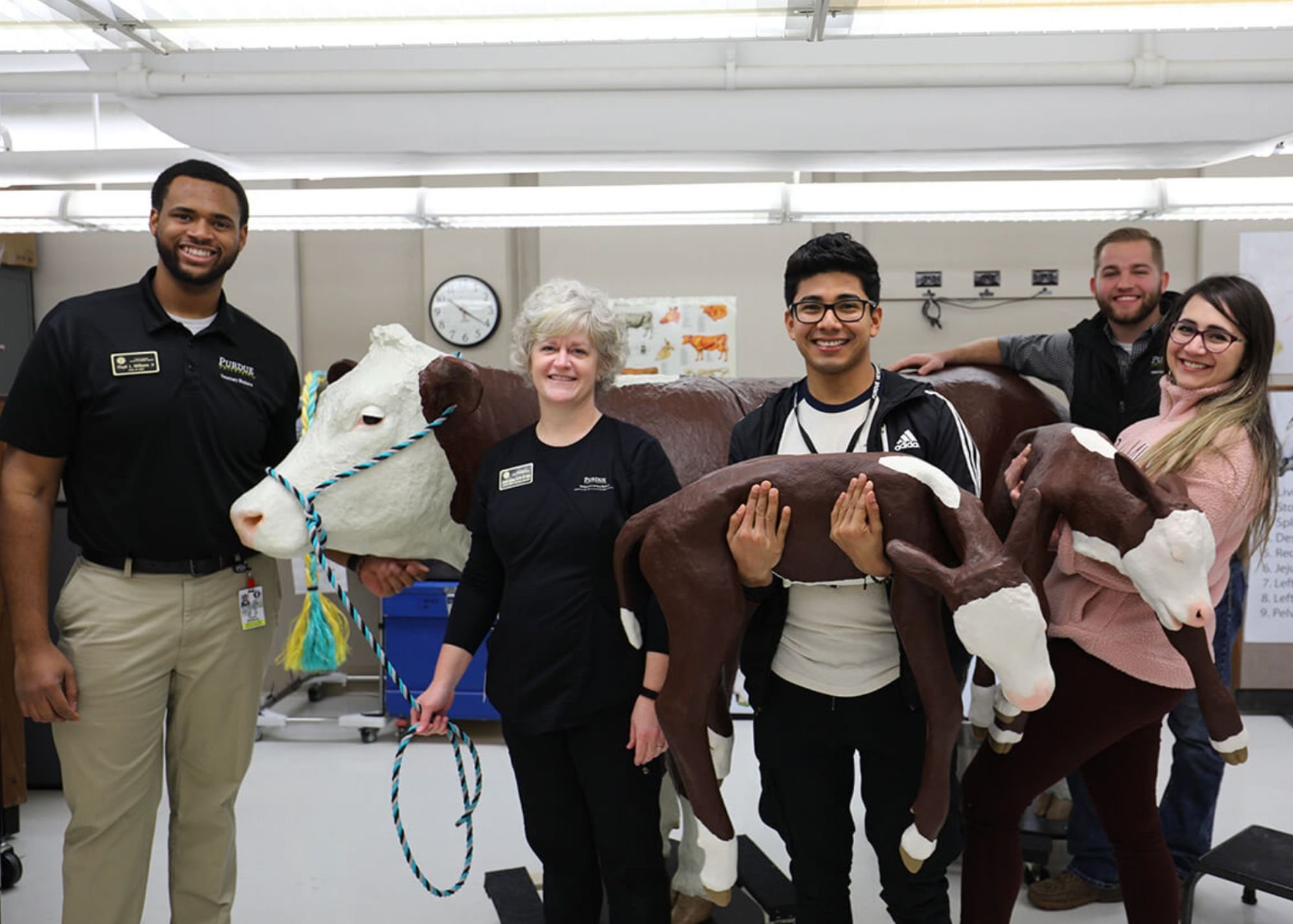   Pictured (left-right) Floyd Williams, of the DVM Class of 2022; Clinical Skills Laboratory Manager Danielle Buchanan; and Oscar Ramirez, Timothy Stohlman, and Mariana Barragan, all of the DVM Class of 2023, pose with the new cow model, which came c