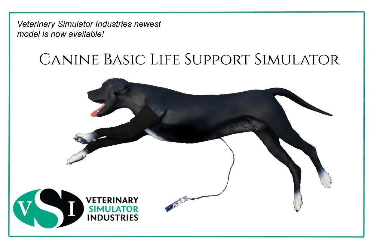 Our newest model is finally here! The VSI Canine Basic Life Support simulator has plenty of features including chest compressions with feedback, bandaging, positioning, venipuncture, and more! Check it out at www.vetsimulators.com #canine #vsi #vetsi