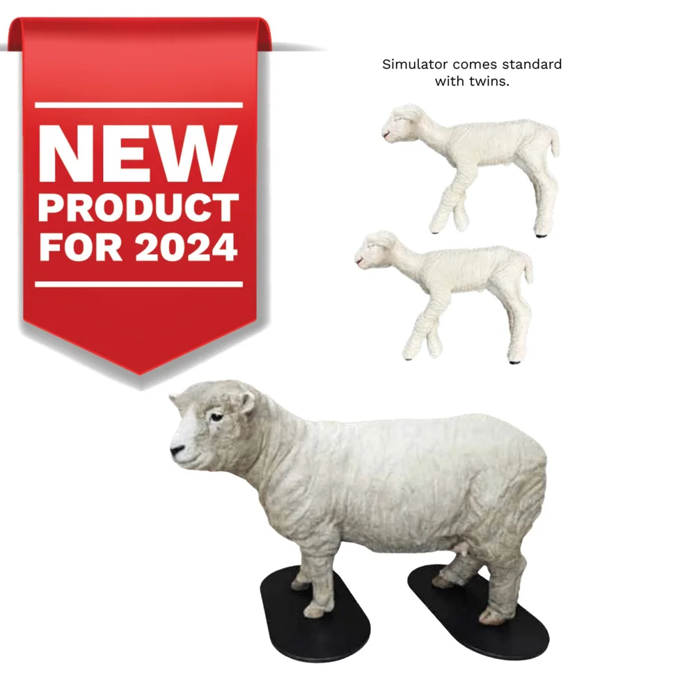 Blog β Veterinary Simulator Industries