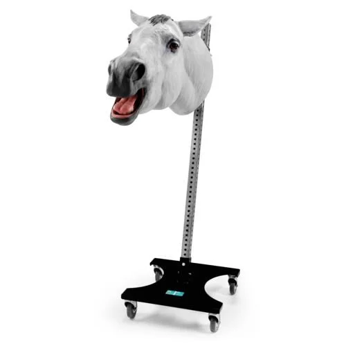 Equine Dental Float with Rolling Stand