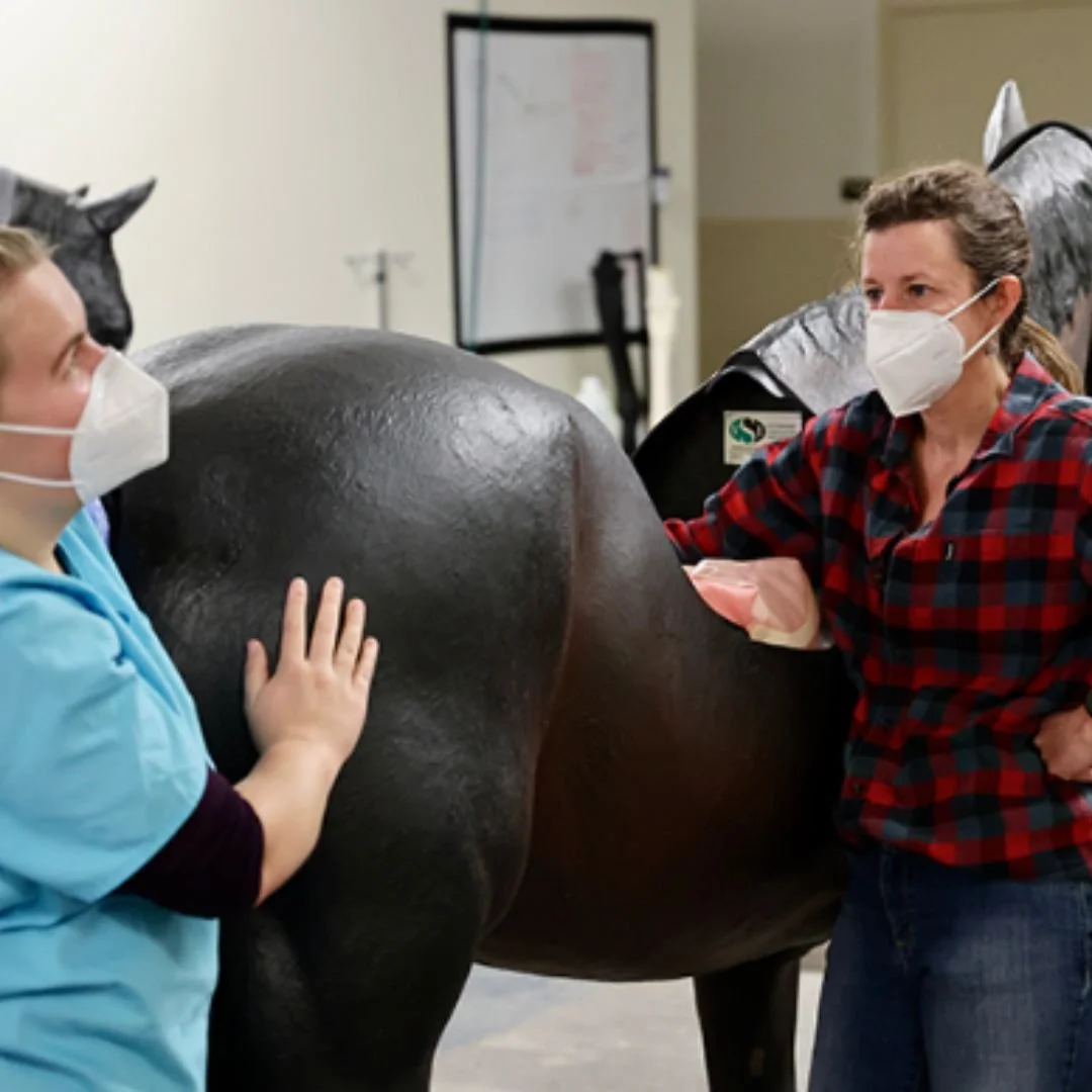 SimulationBased Education — Veterinary Simulator Industries