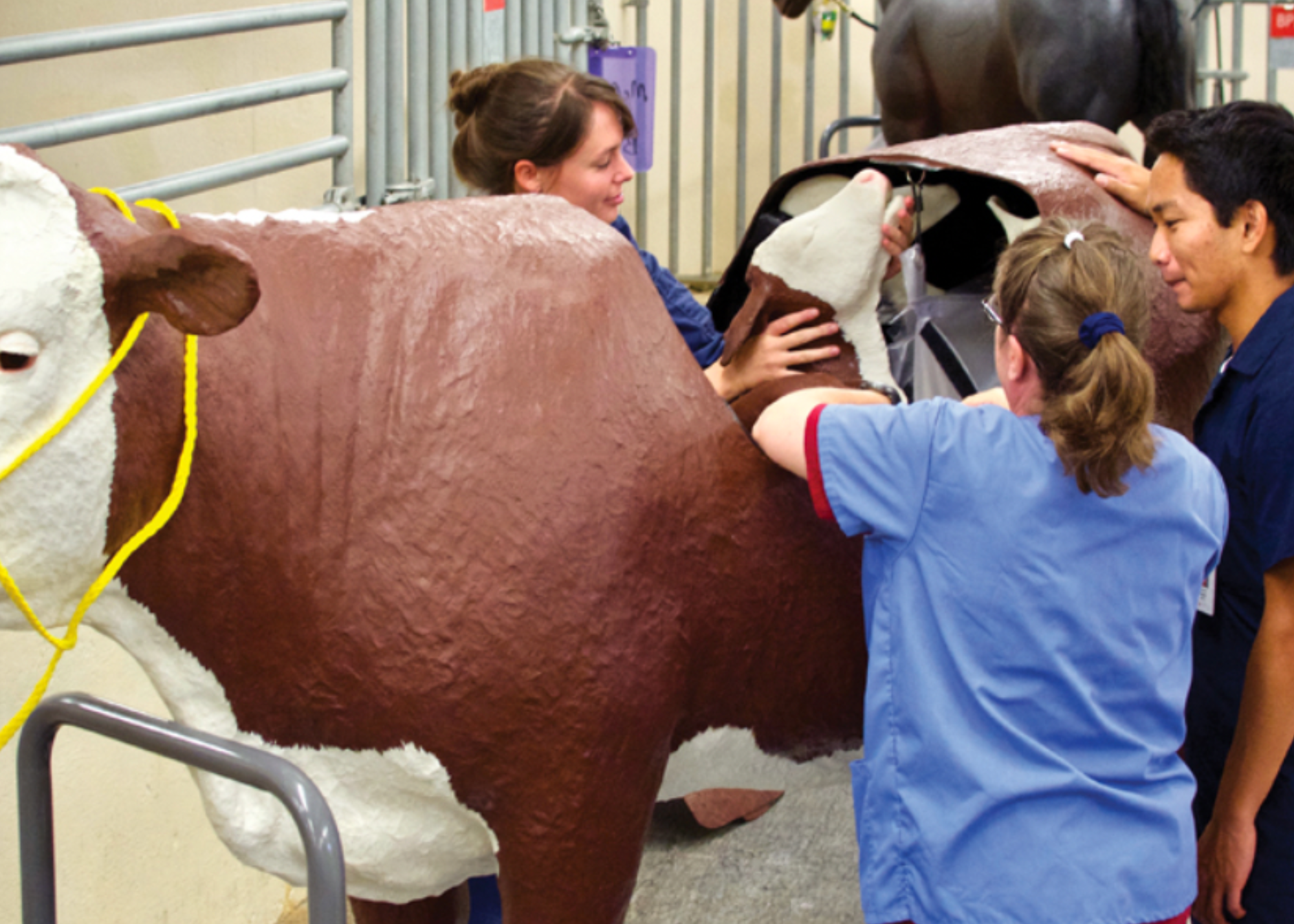 VSI make a cameo appearance at SU College of Veterinary Medicine ...