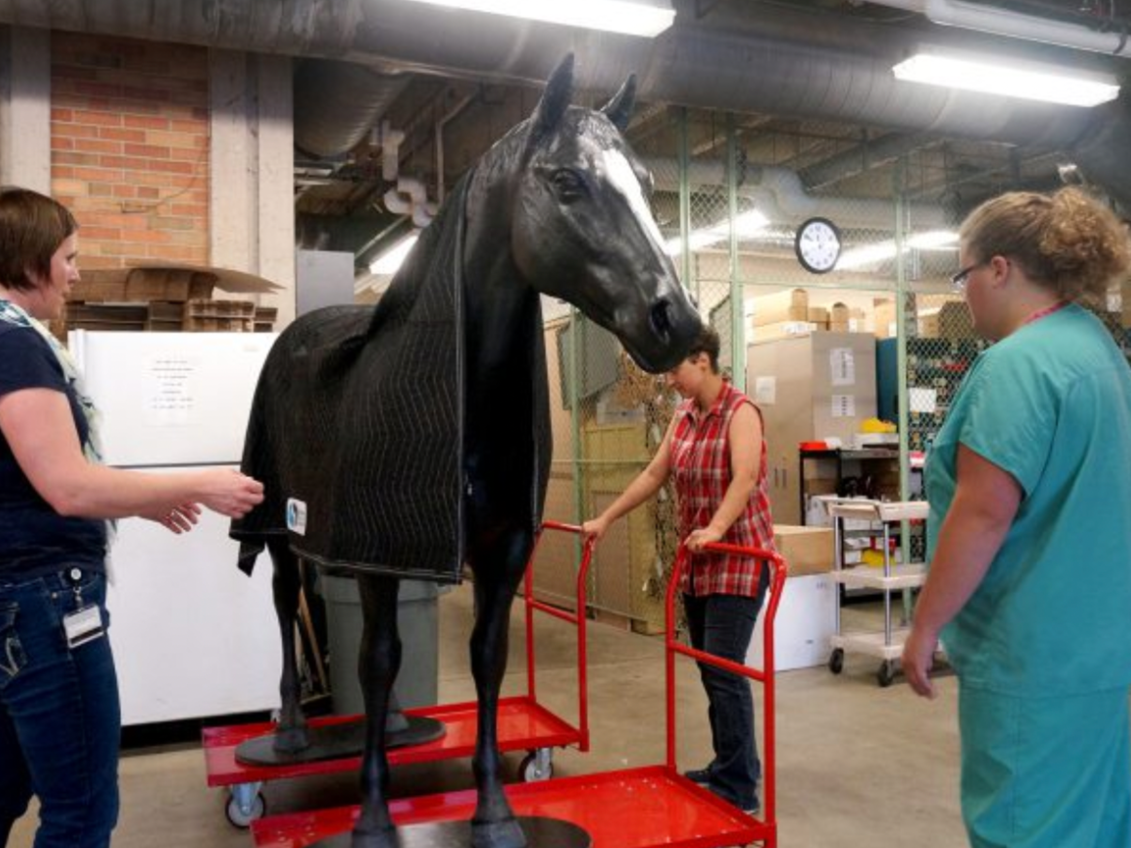 New Simulation Models at Michigan State University. β Veterinary ...