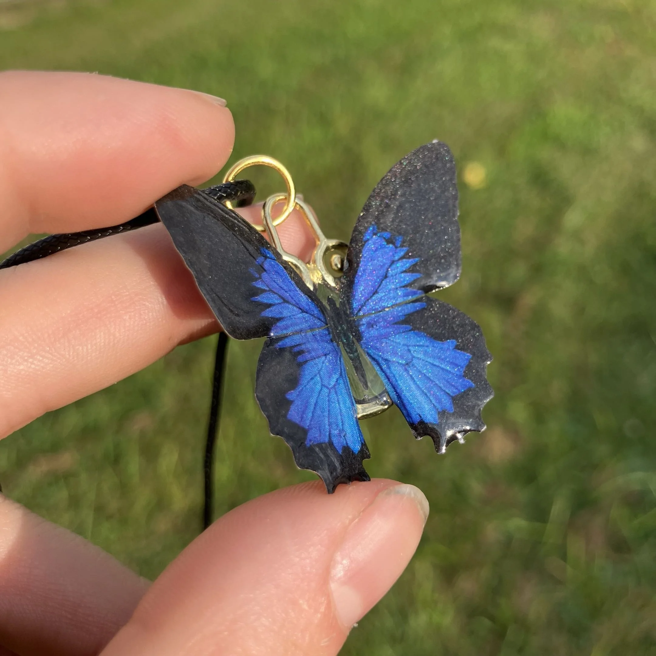 image2396.jpg