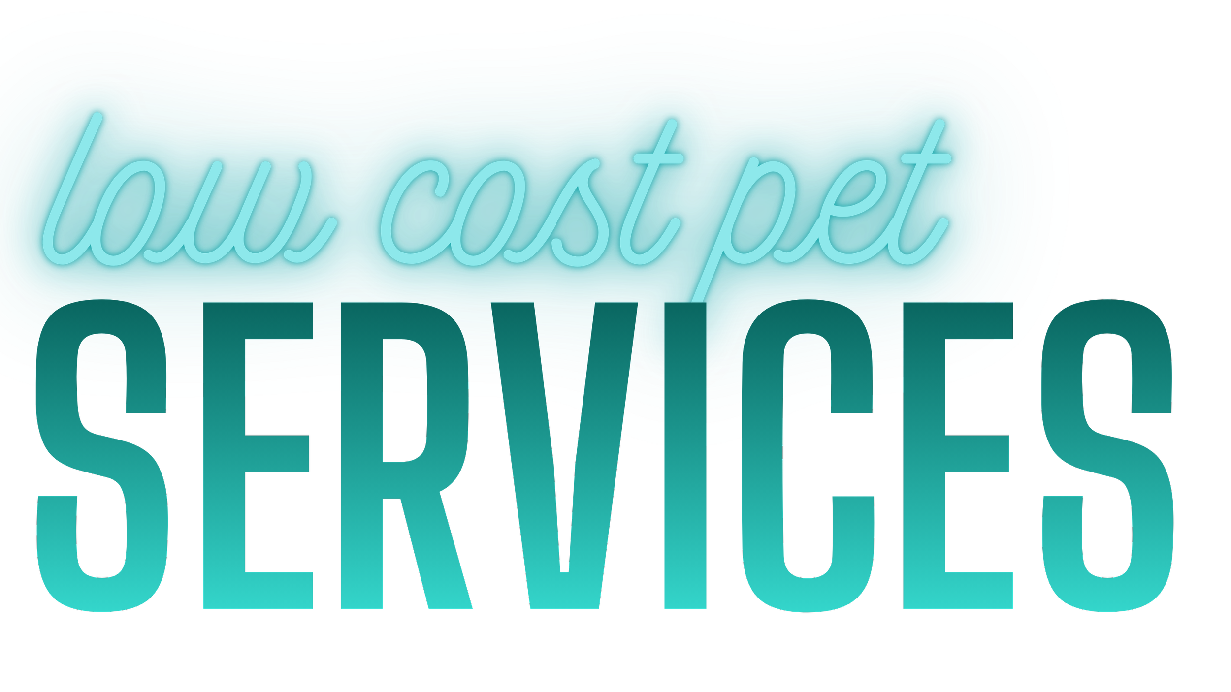 A stylized sign that reads 'we accept SERVIVO' with a turquoise and black color theme and a digital glow effect.