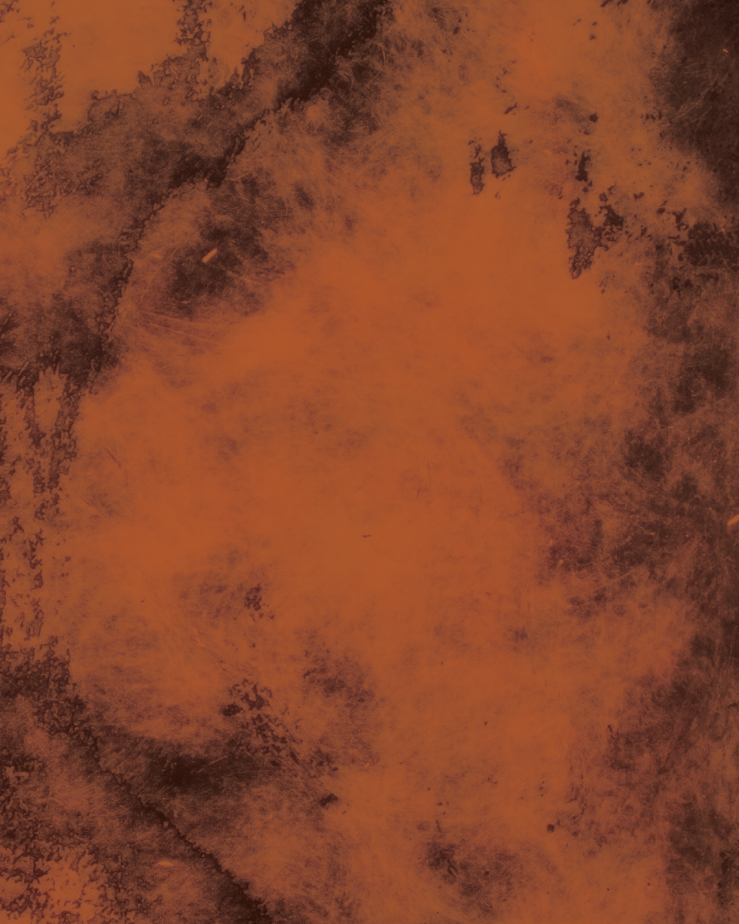 EXHIBITION: HERE /ELSEWHERE