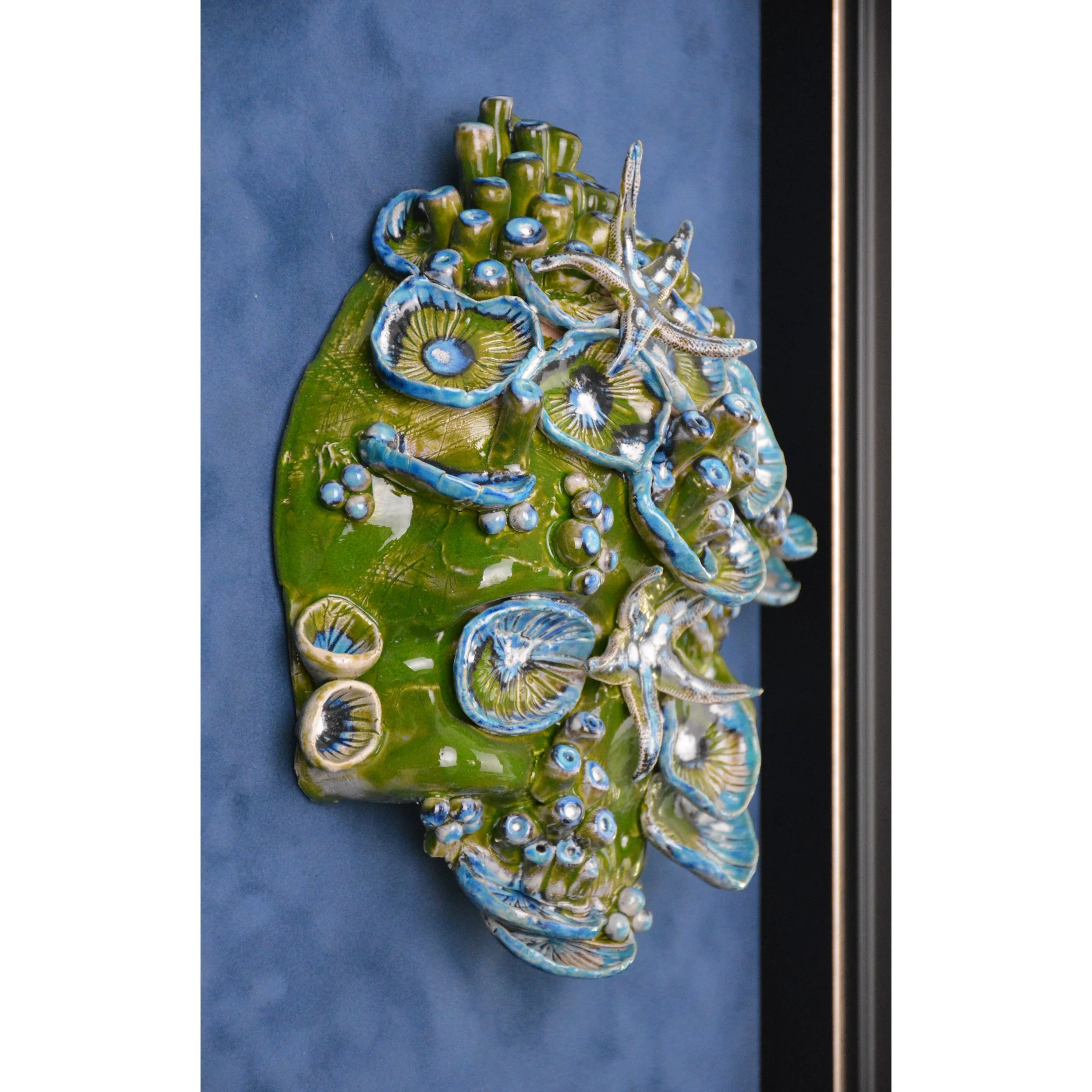 Julian Krol 4.5s.jpg