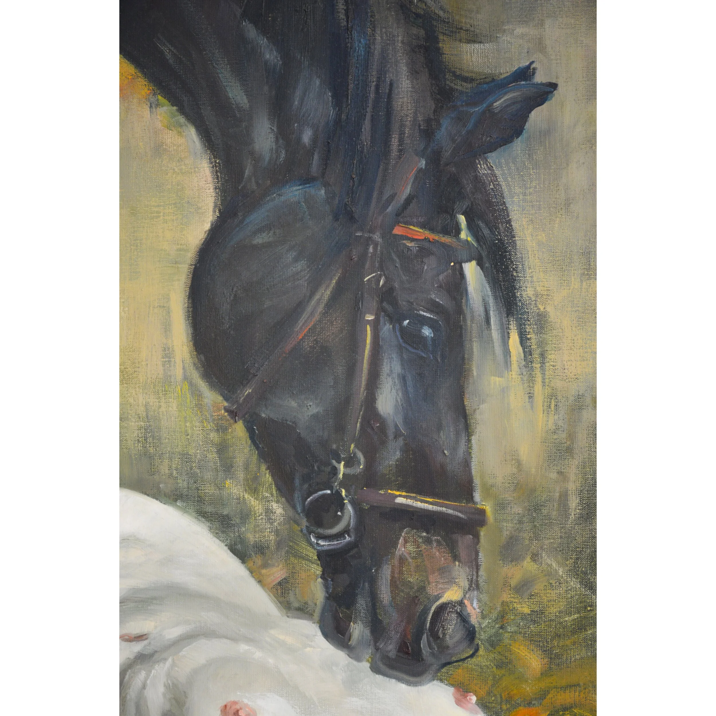 Dream, Daniel Pielucha, 04s.jpg