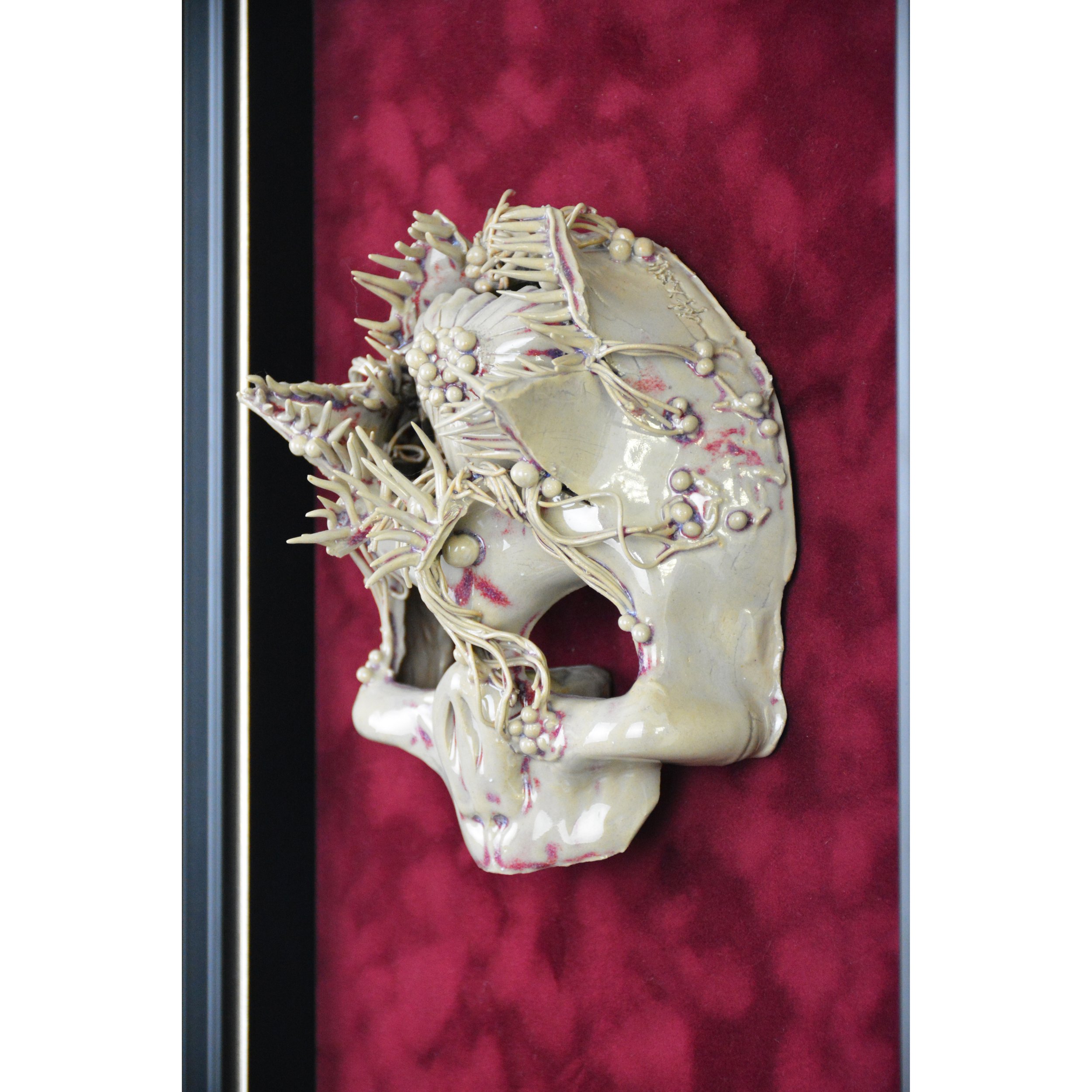 julian krol 01.4s.jpg