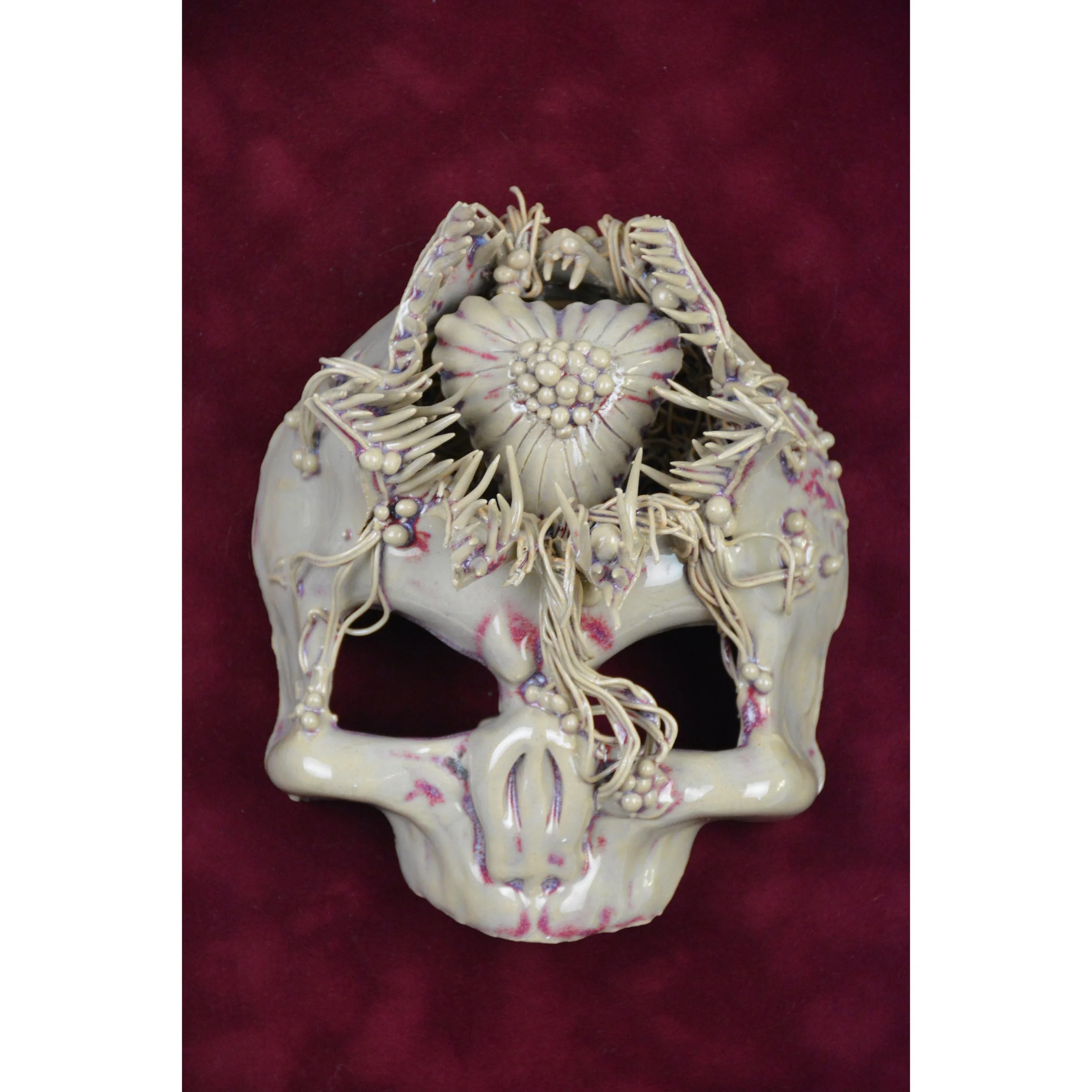 julian krol 01.2s.jpg